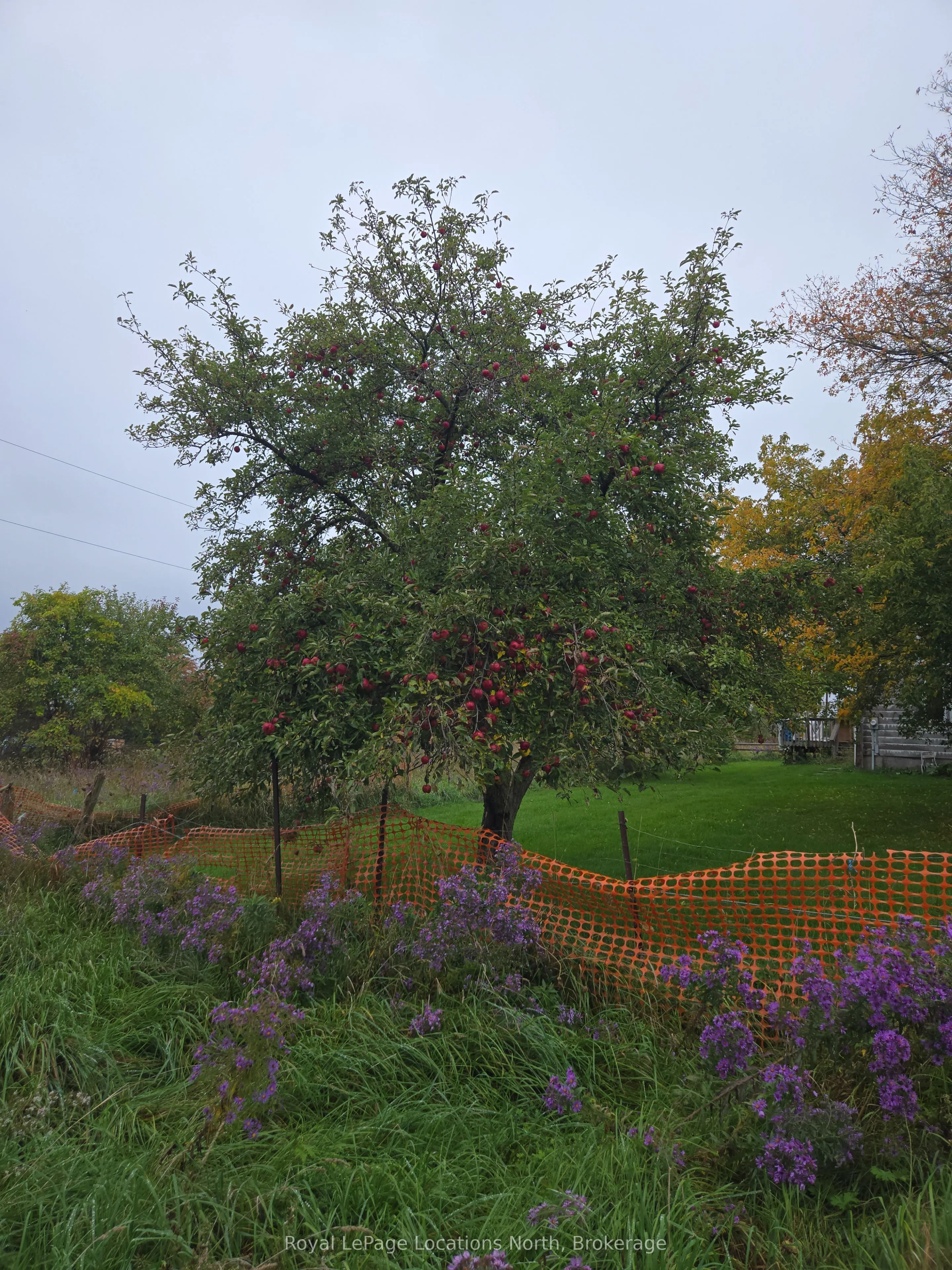 2939 92 County Road