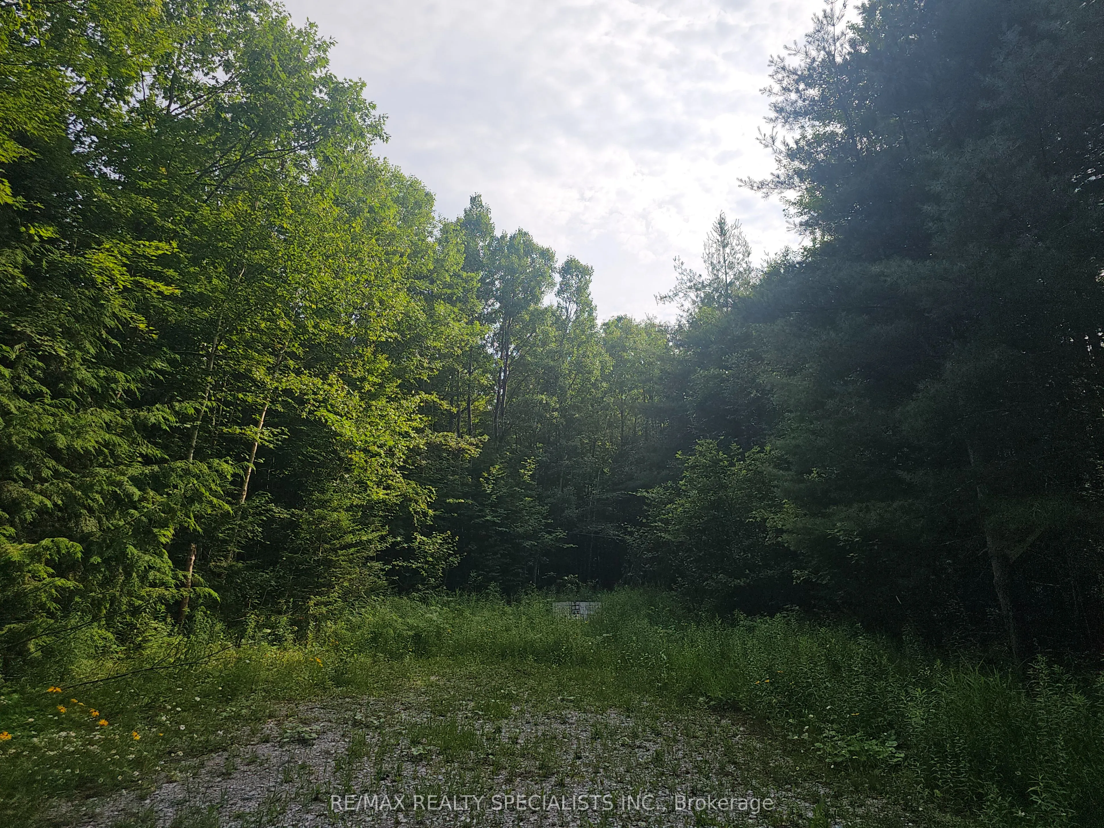 3878 Cambrian Road