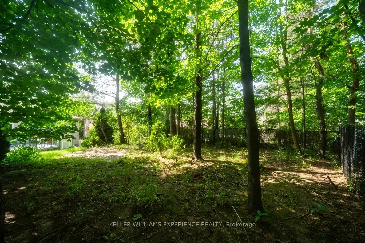 5 Grouse Glen