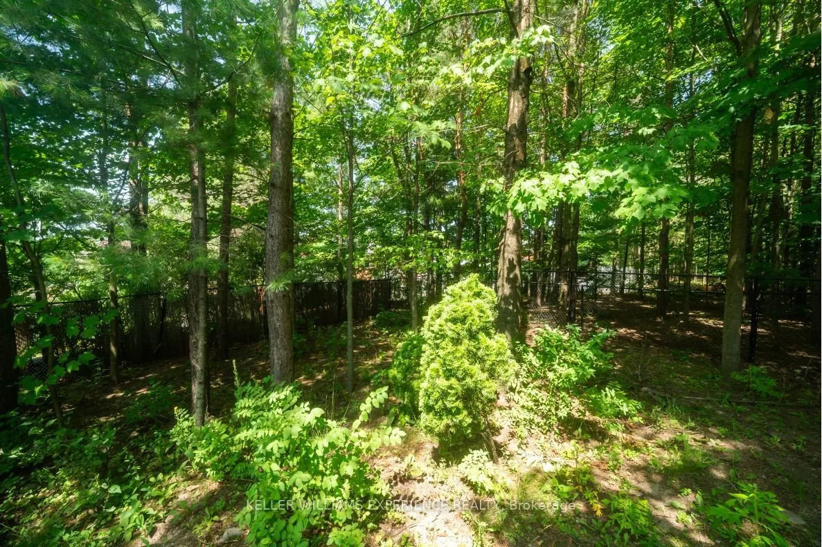 5 Grouse Glen