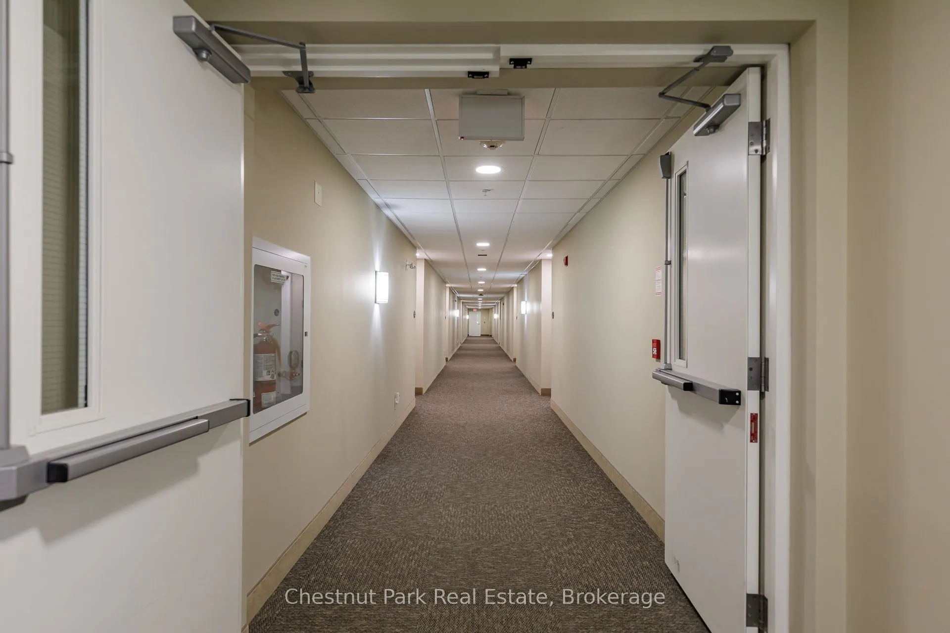 91 Raglan Street #416