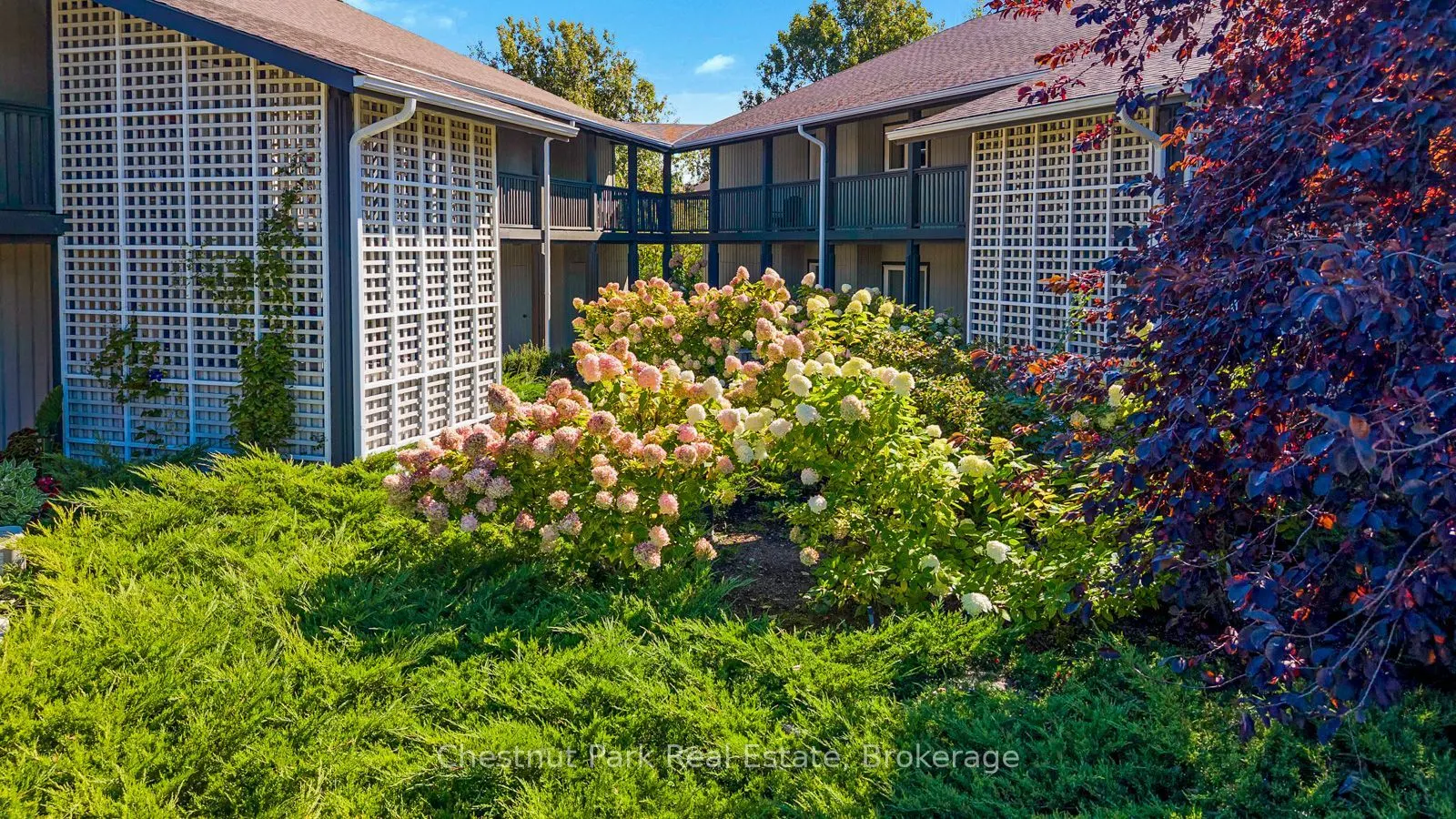678 Johnston Park Avenue #11