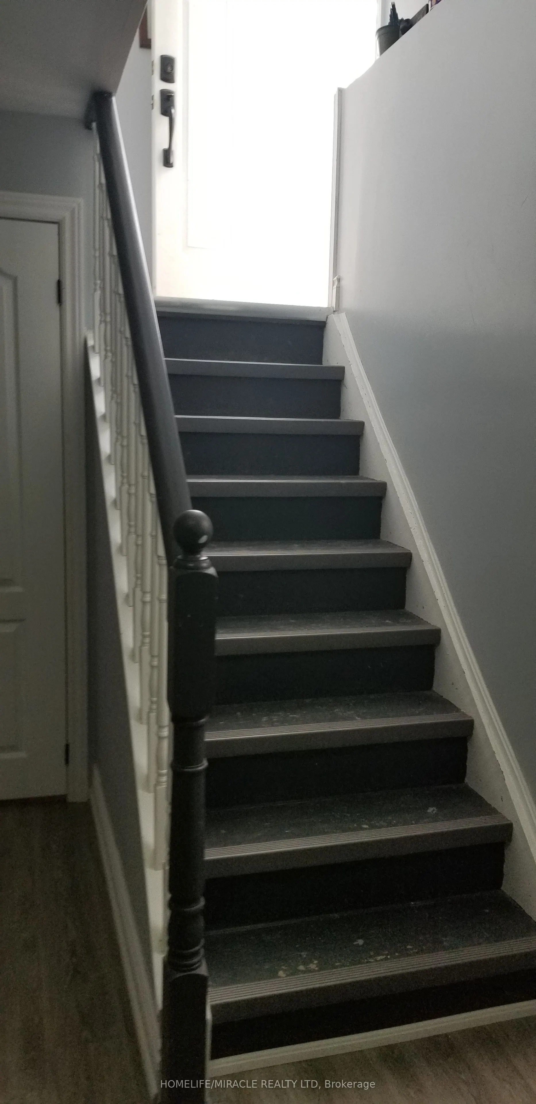 77 Trillium Crescent #Basement