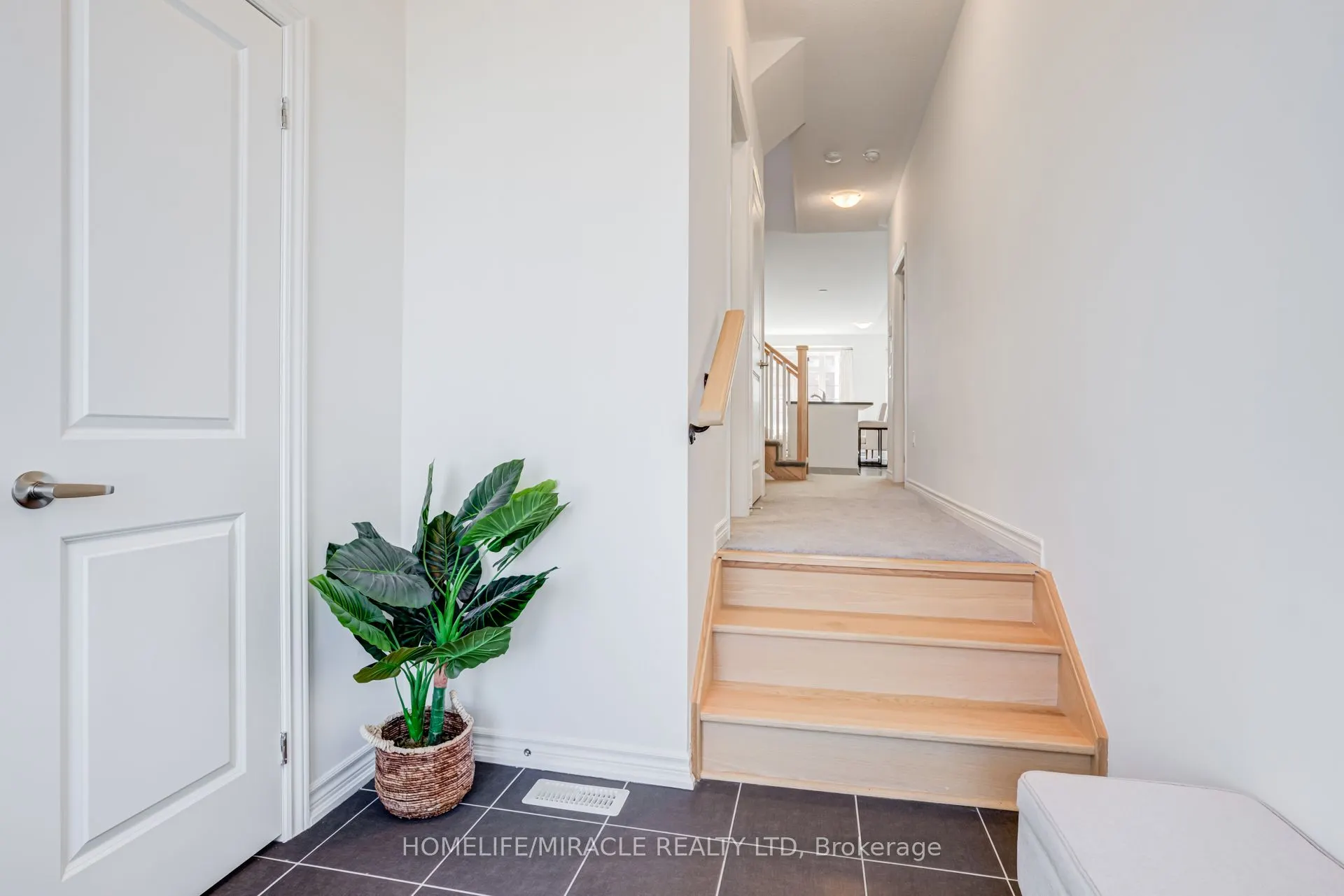 14 Sassafras Road