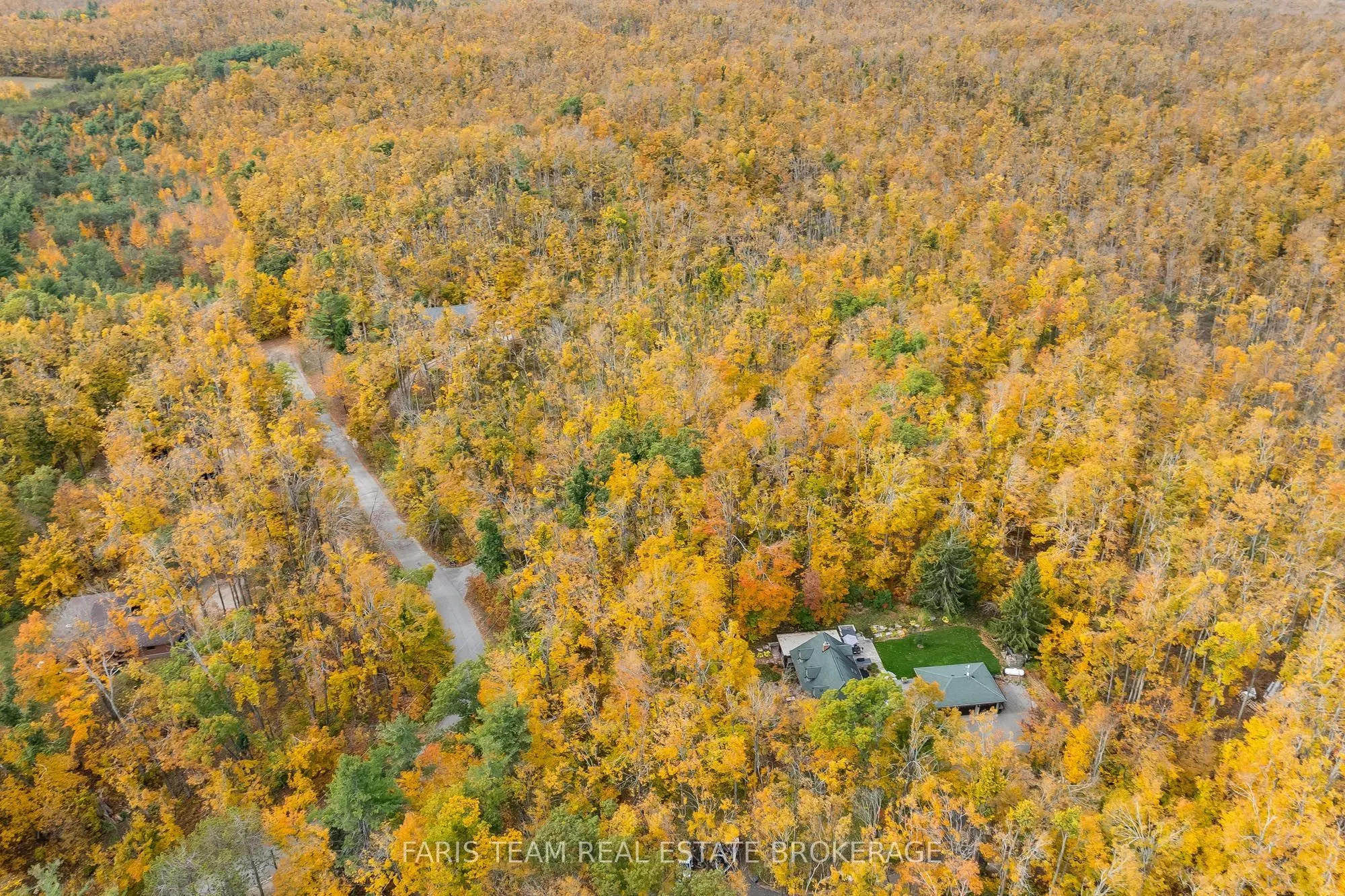15 Scottdale Drive