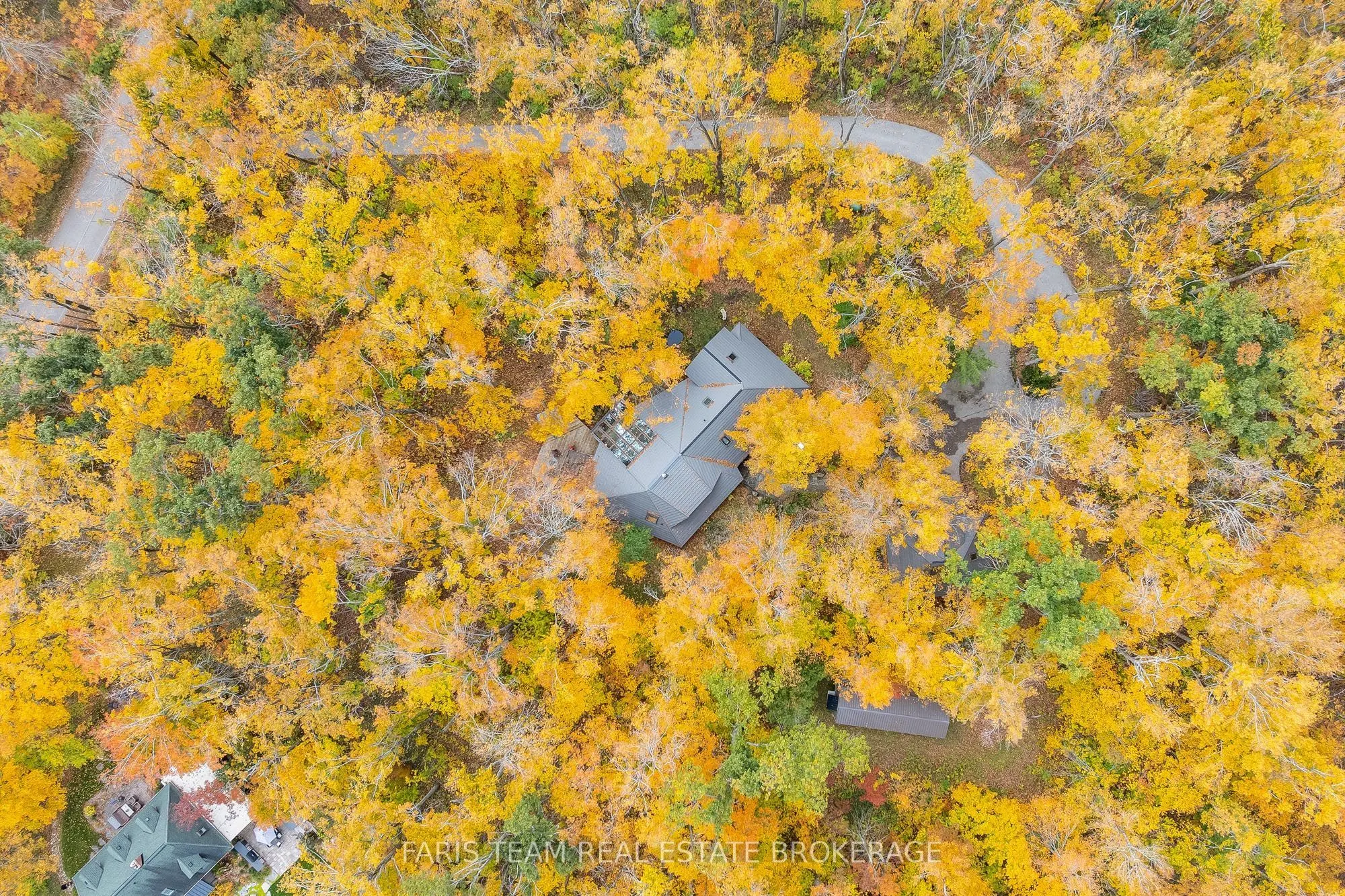 15 Scottdale Drive