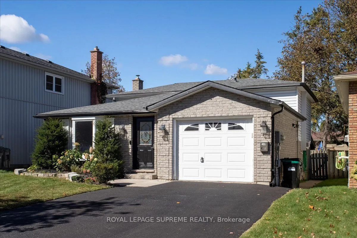 46 Ridgeway Avenue #Lower