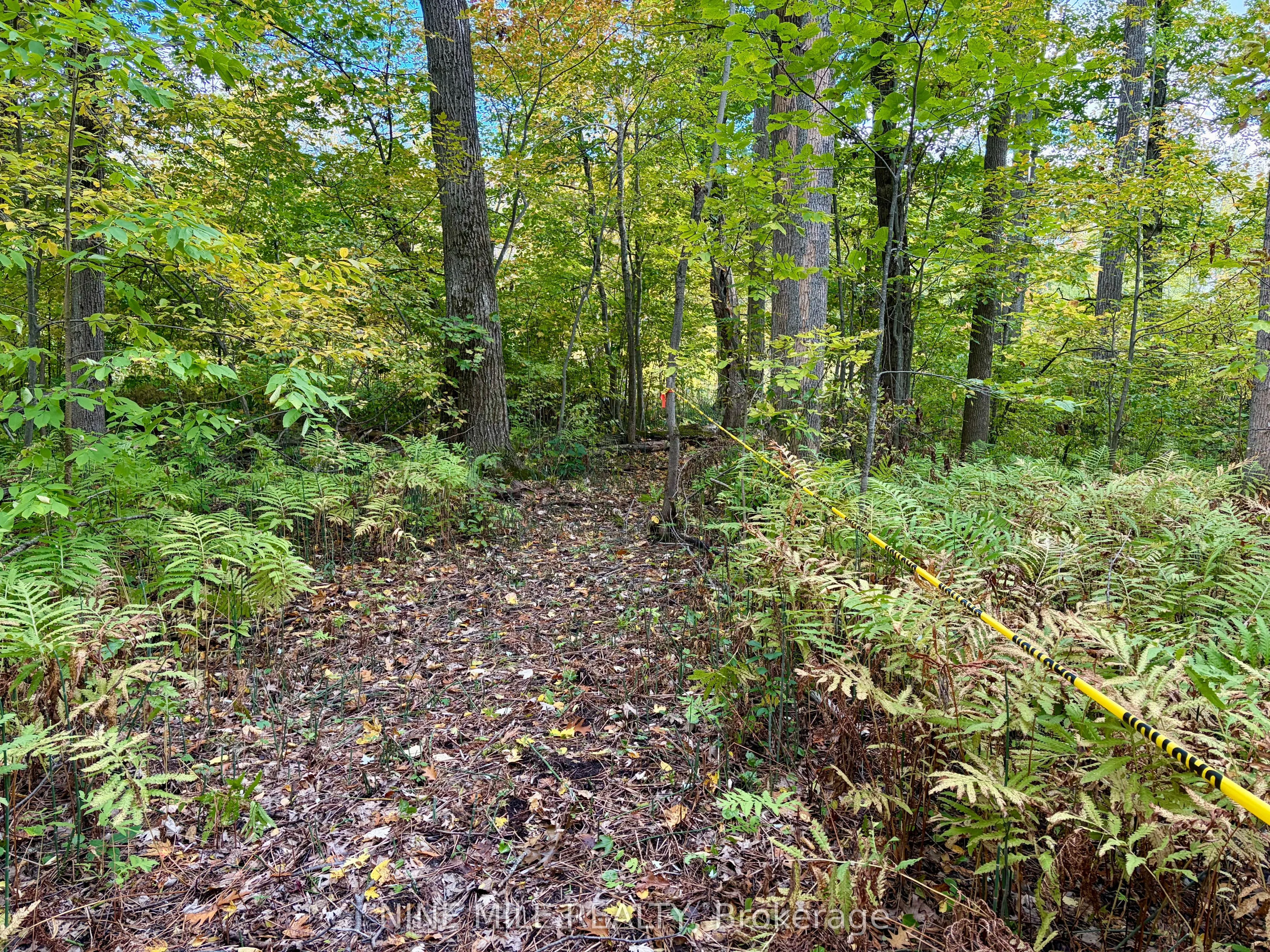 3159 Switch Road