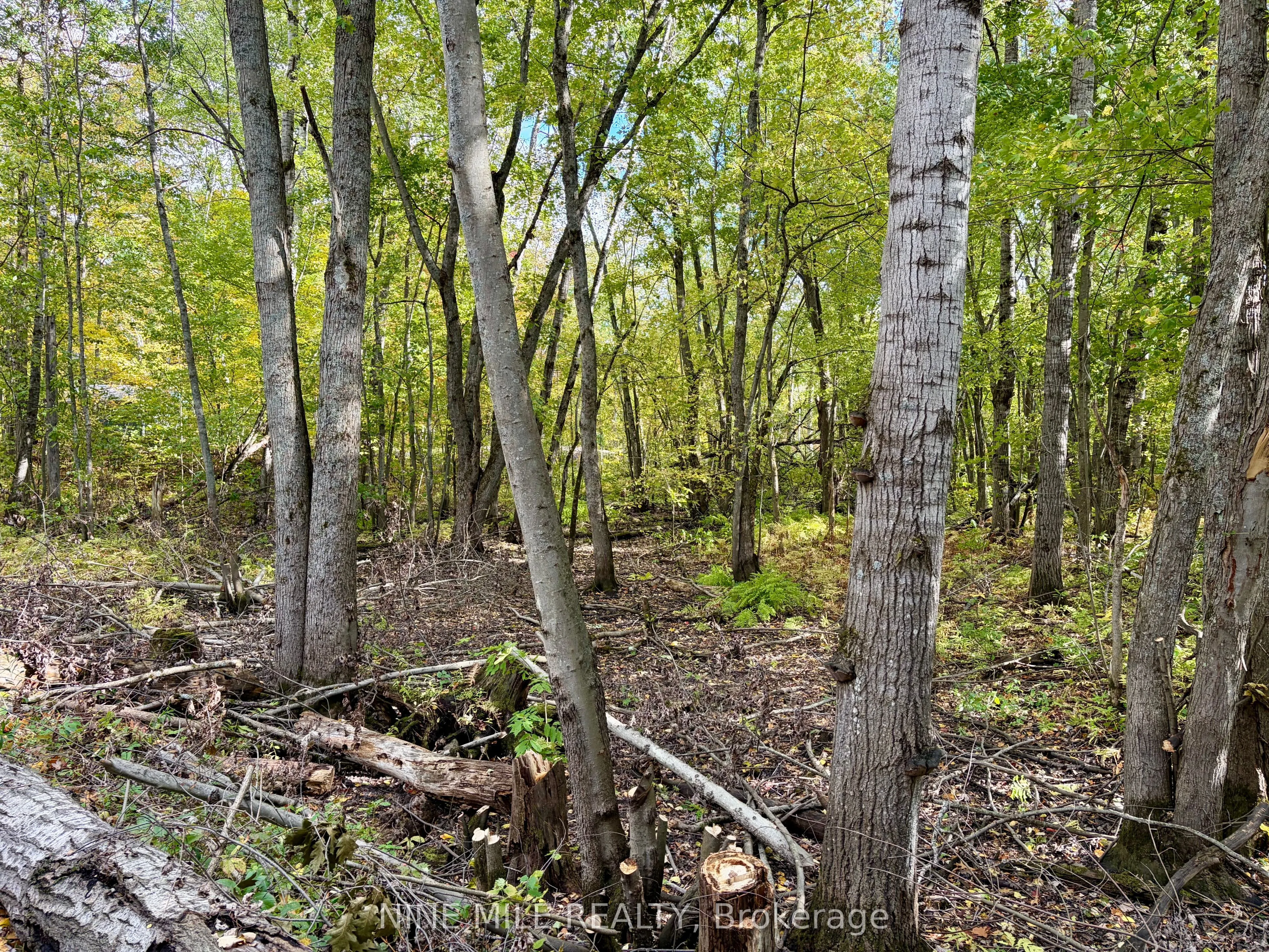 3159 Switch Road