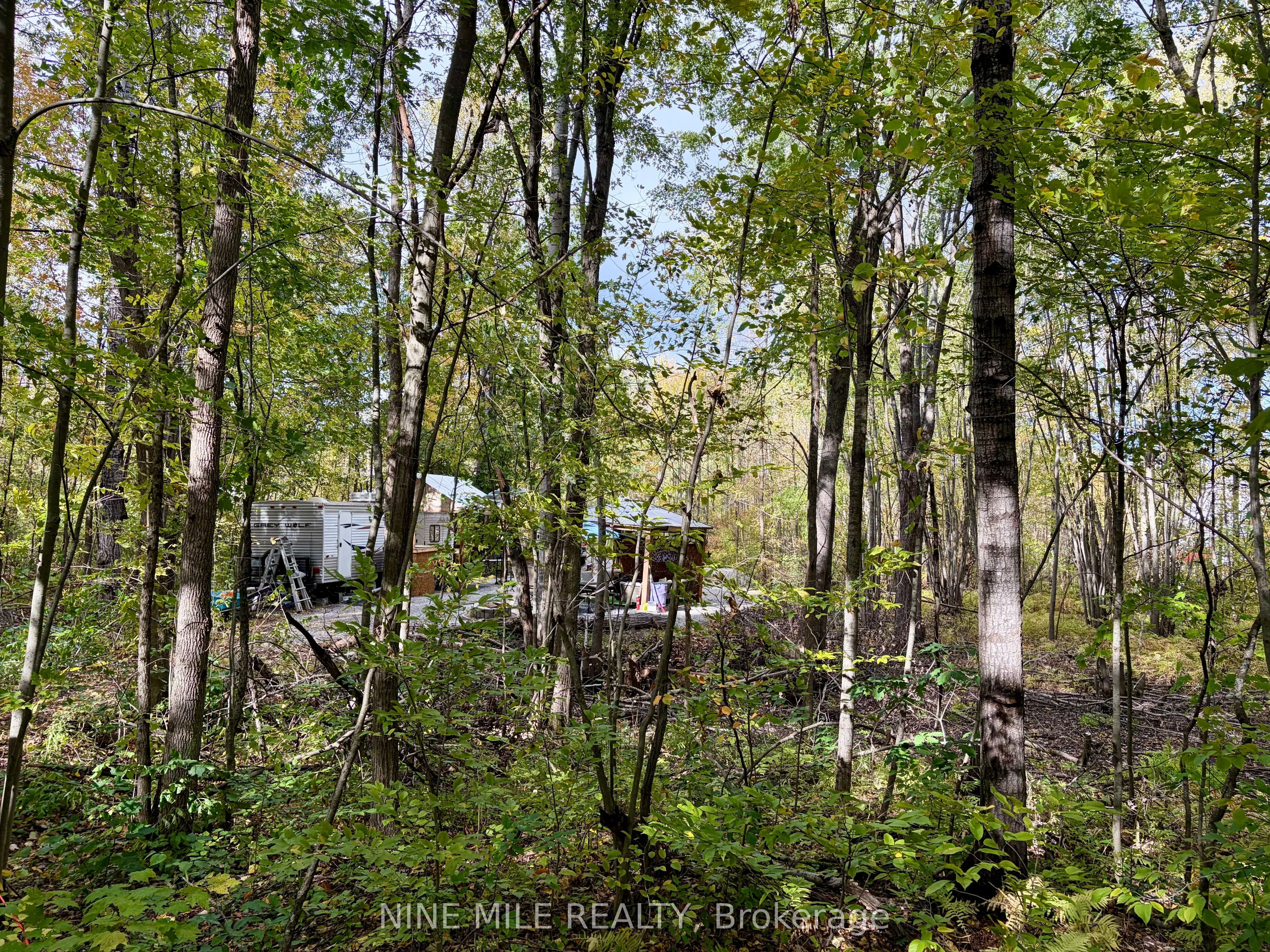 3159 Switch Road
