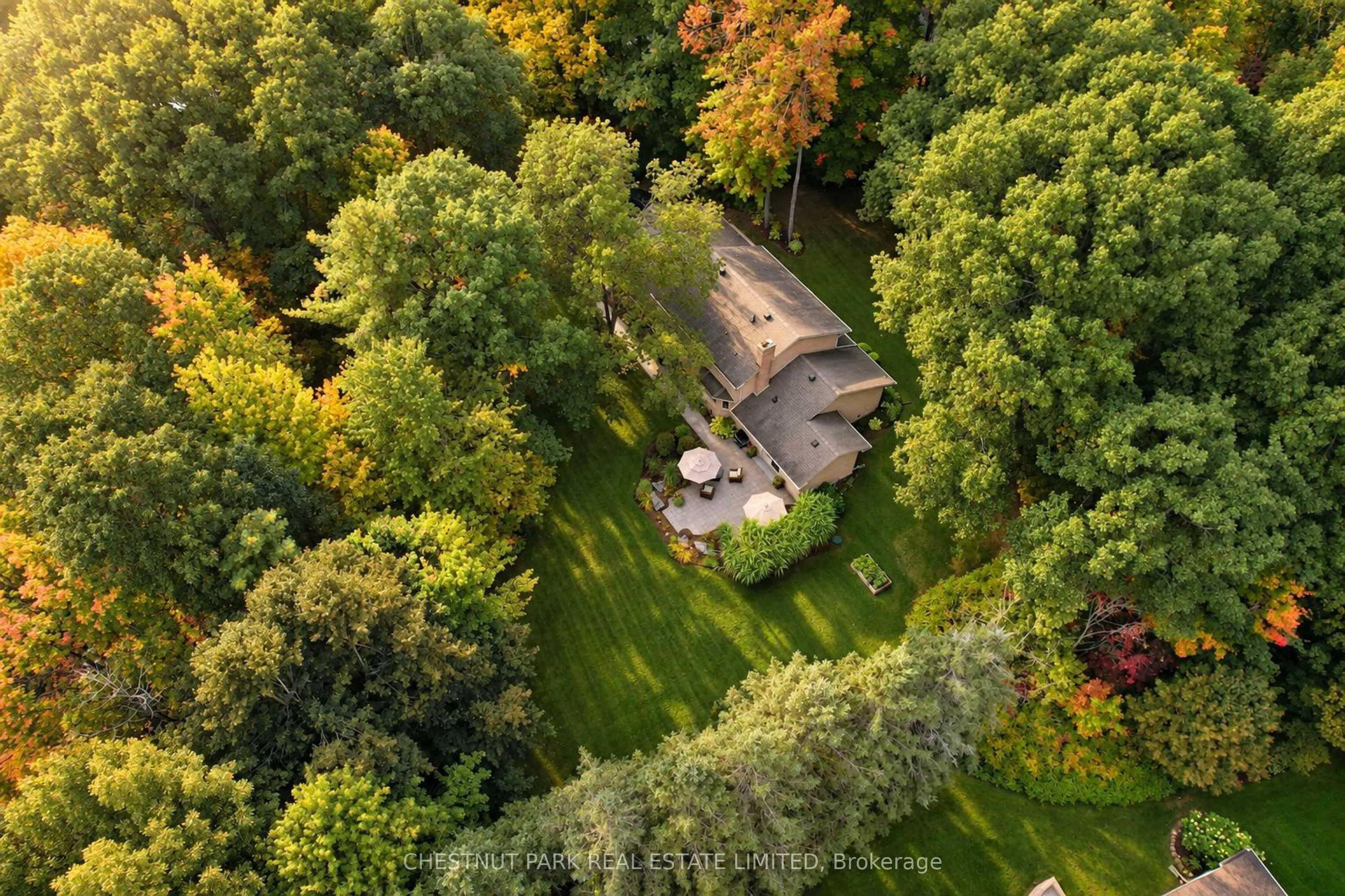 9 Mills Circle
