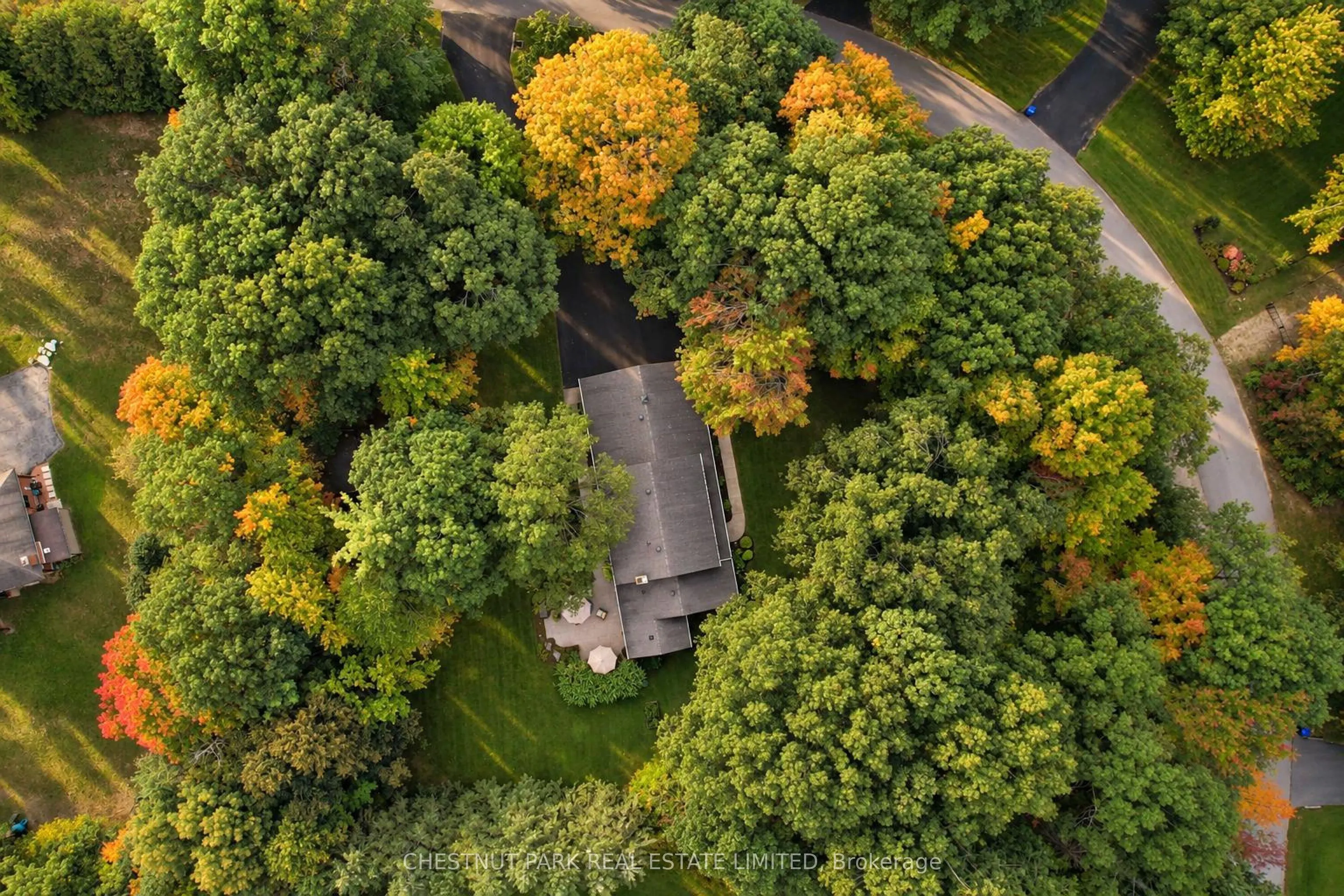 9 Mills Circle