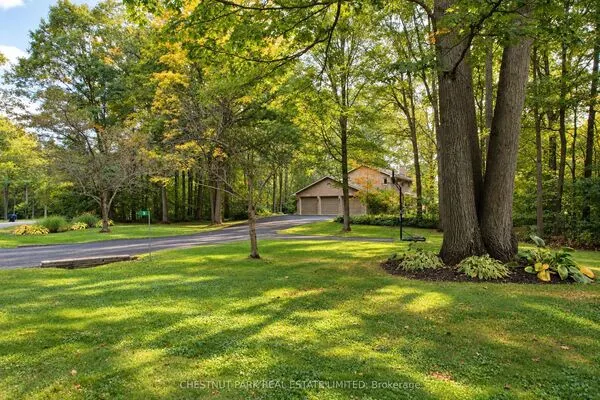 9 Mills Circle