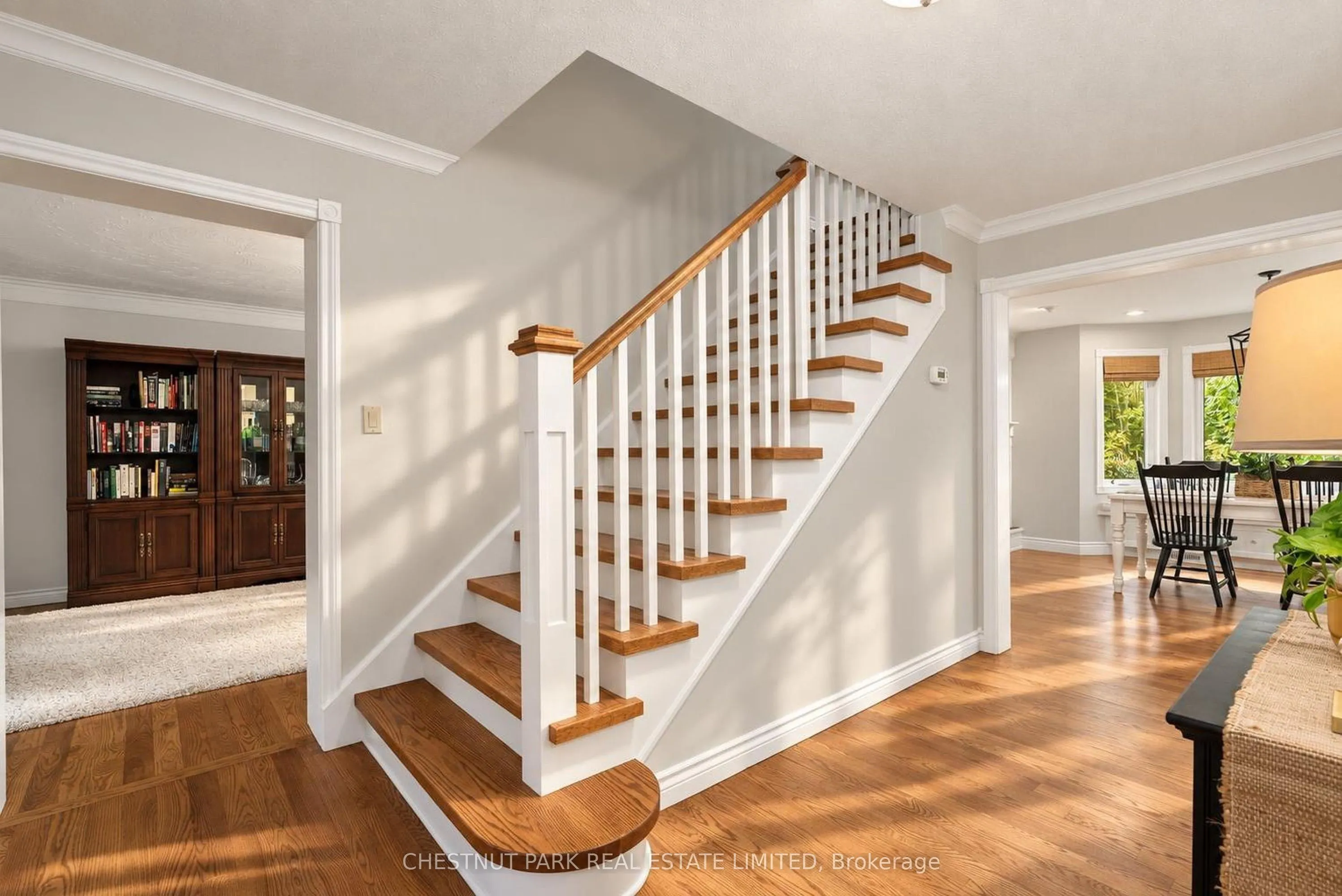 9 Mills Circle