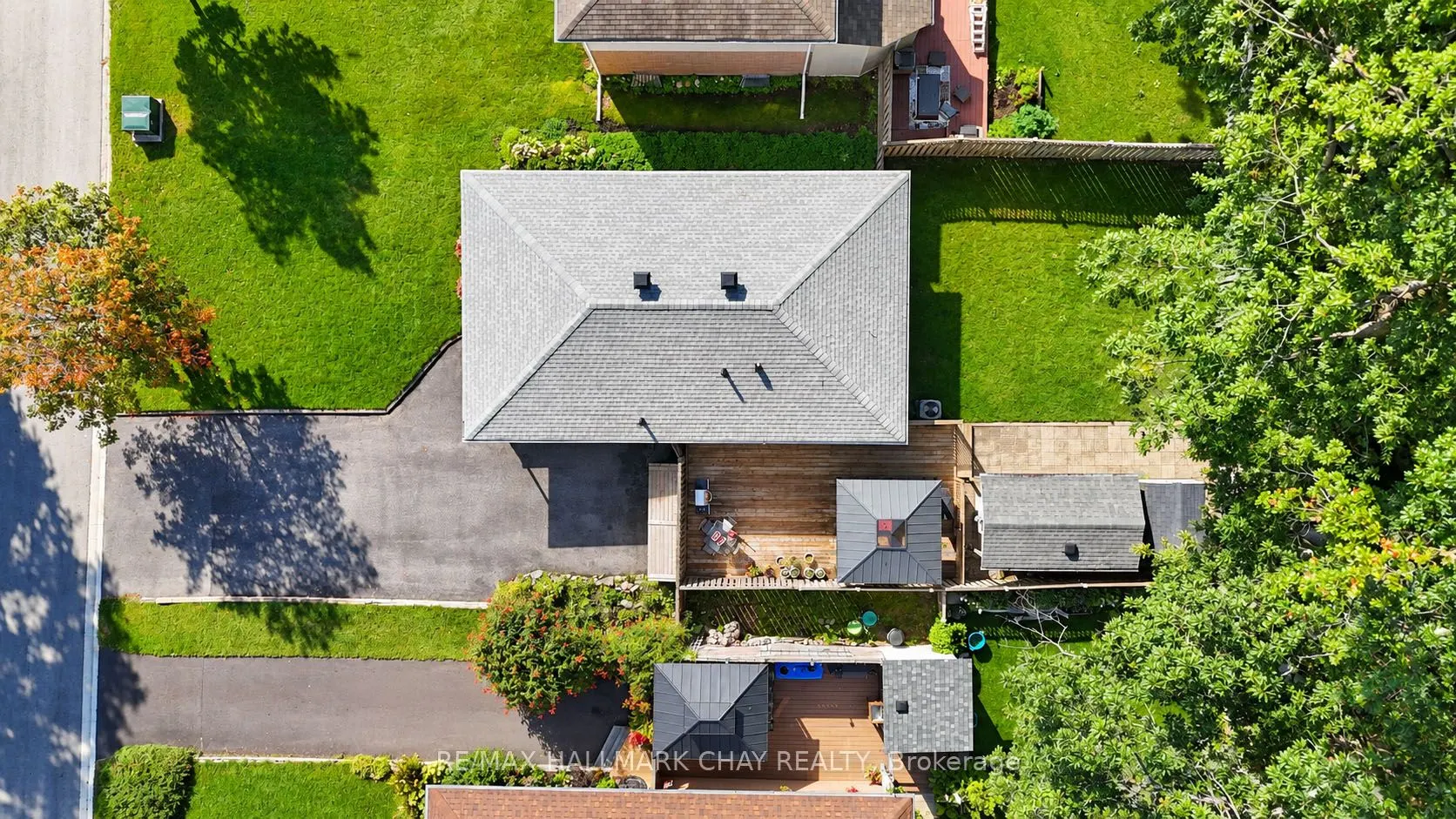 11 Daphne Crescent #LOWER