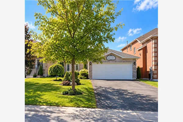 38 Black Willow Drive