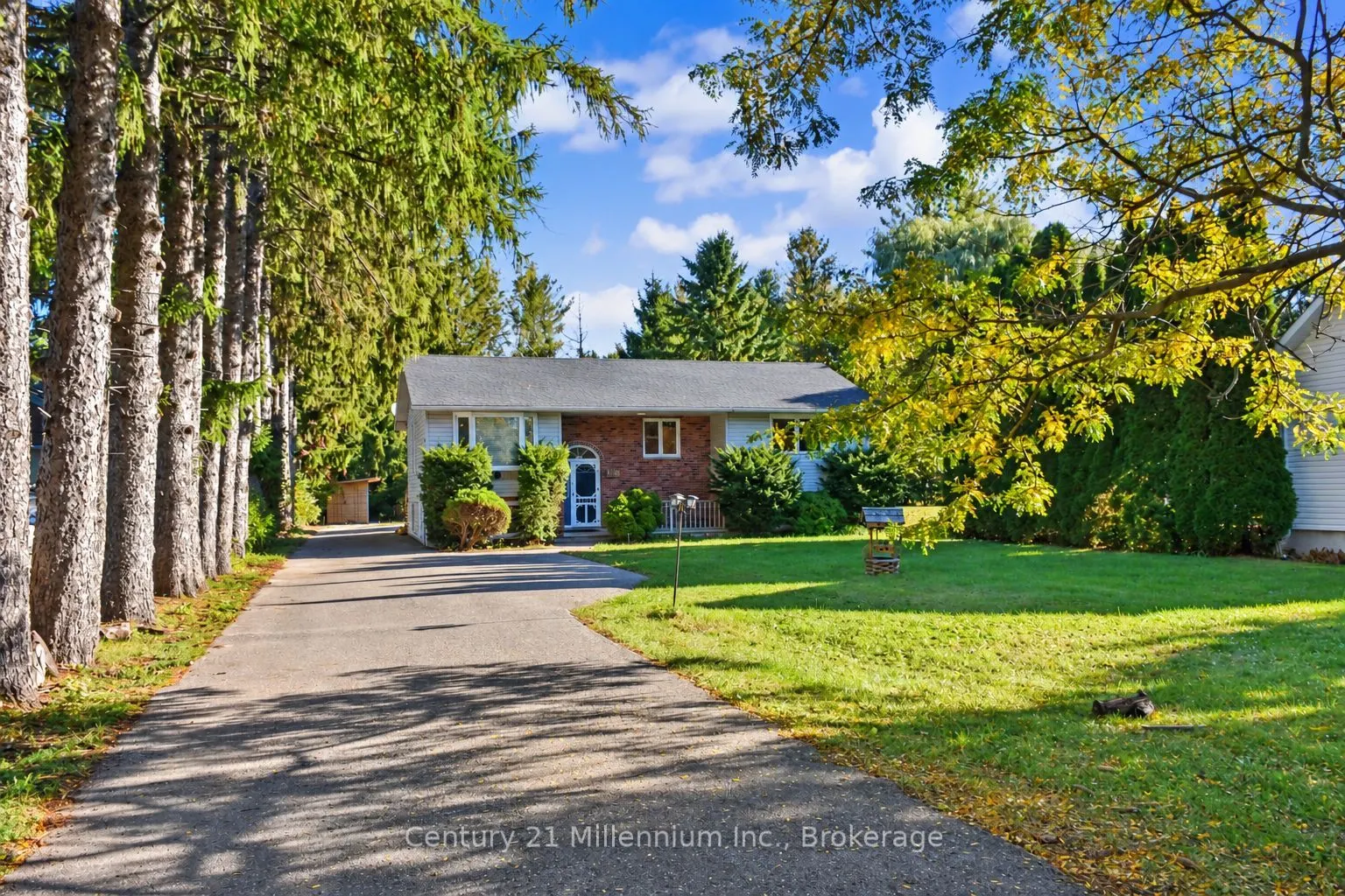 290 Warrington Road