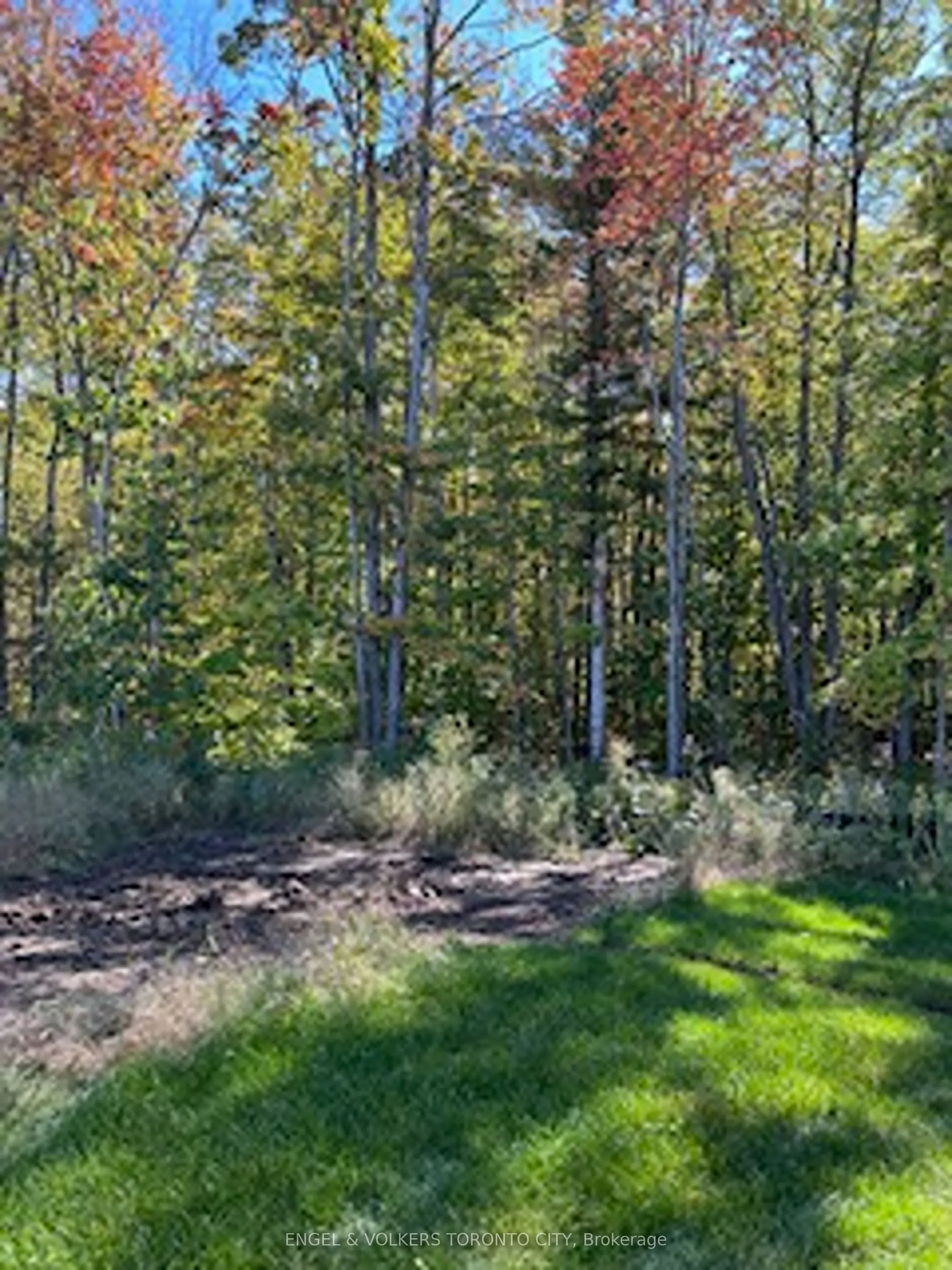 3062 Morningcoast Place