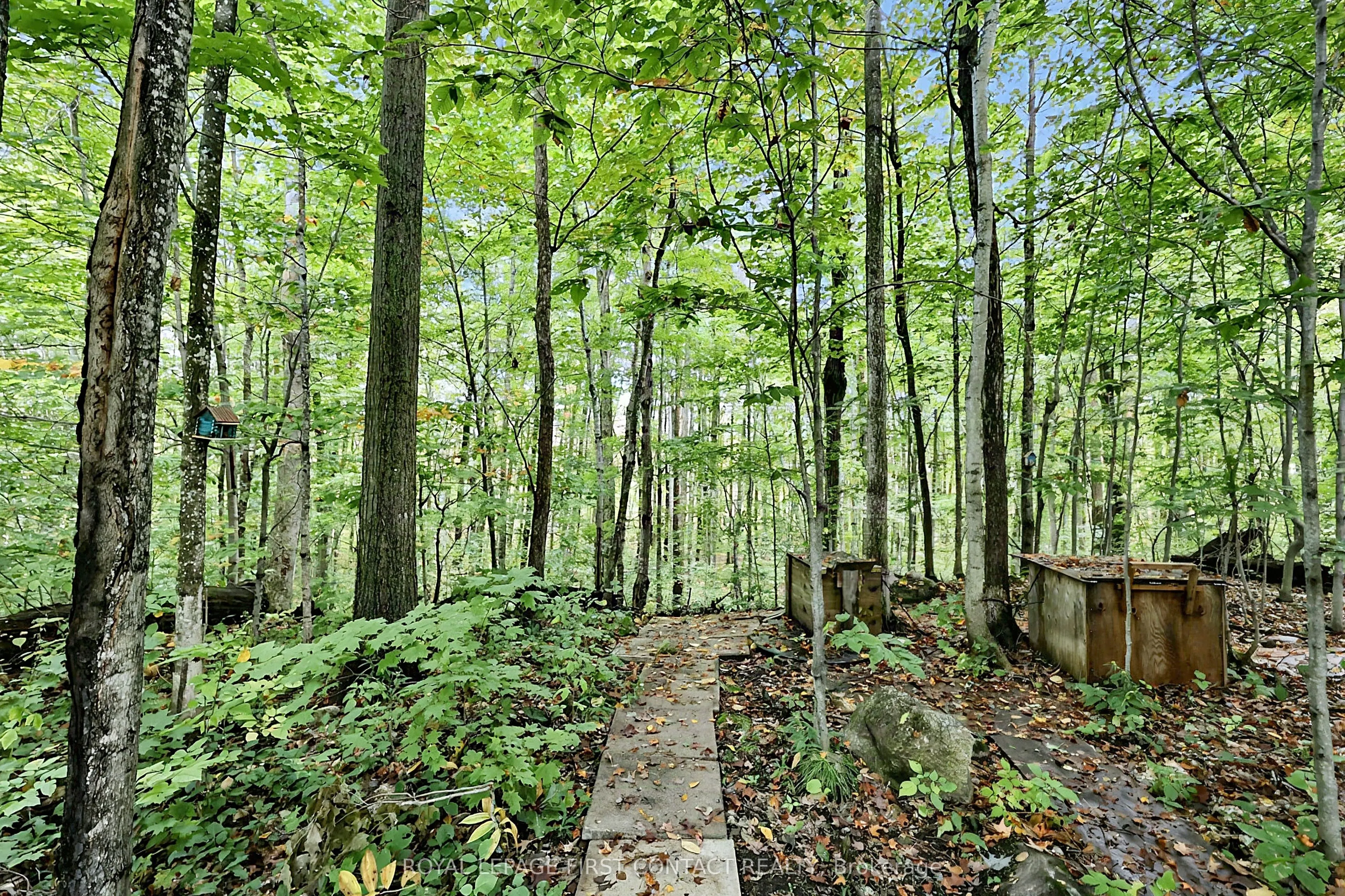 2442 Champlain Road