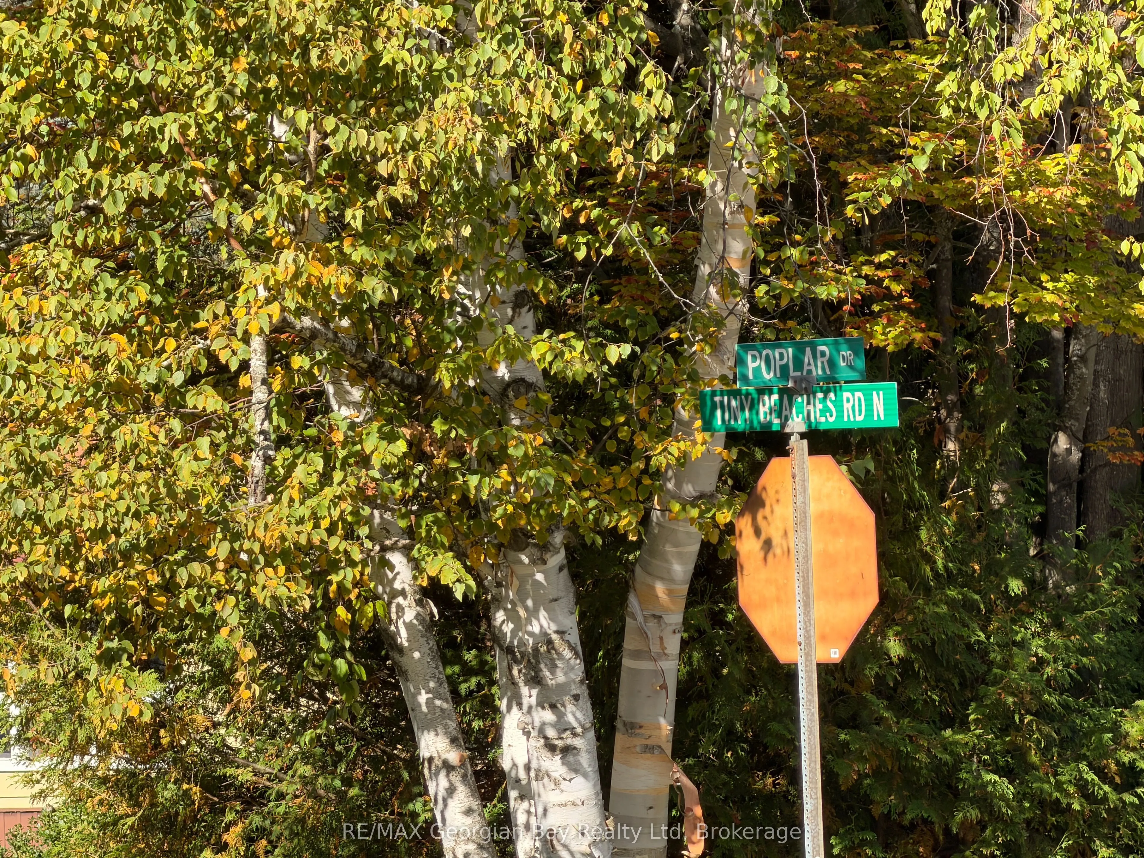 69 Pinecone Avenue