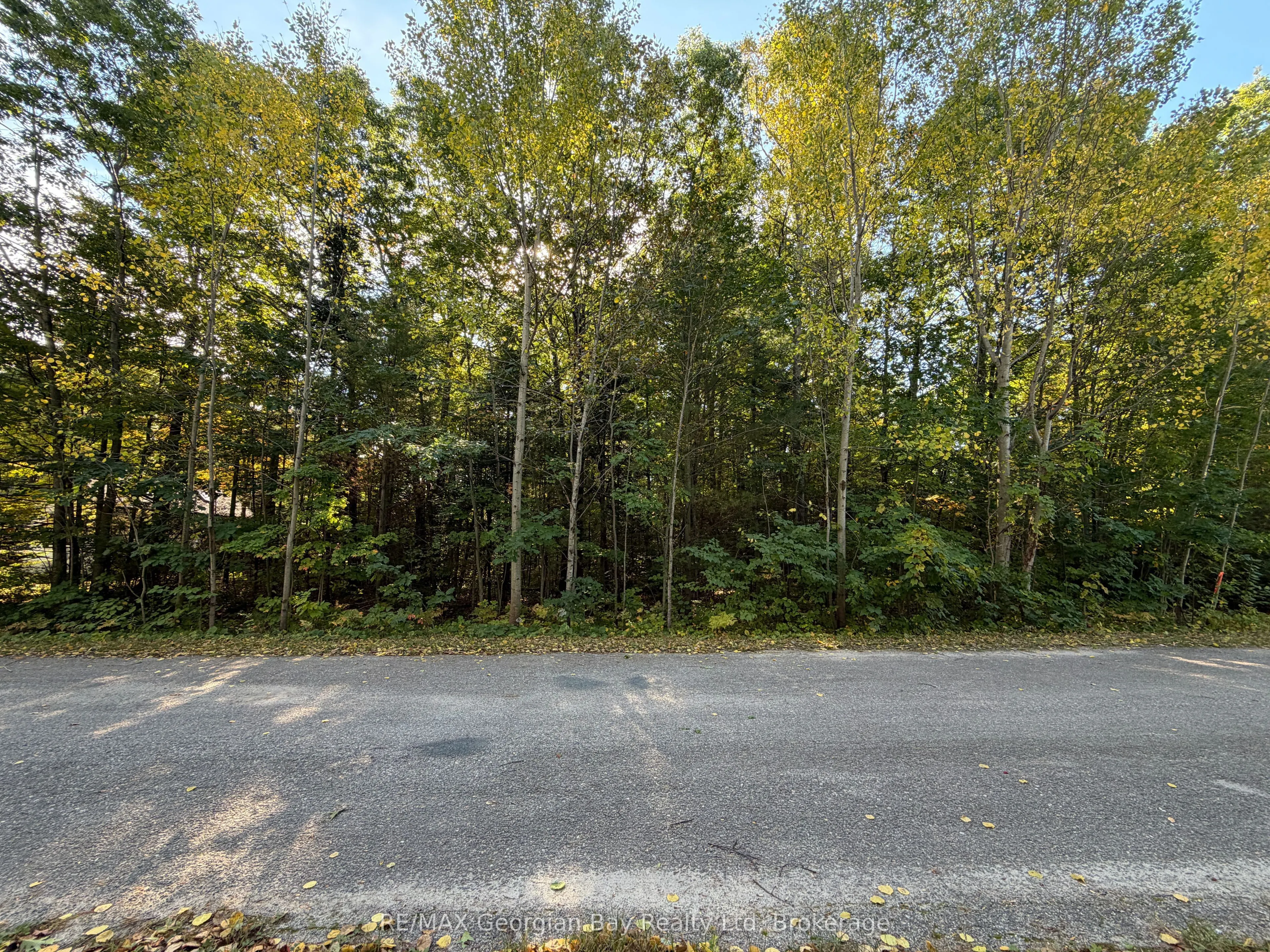 69 Pinecone Avenue