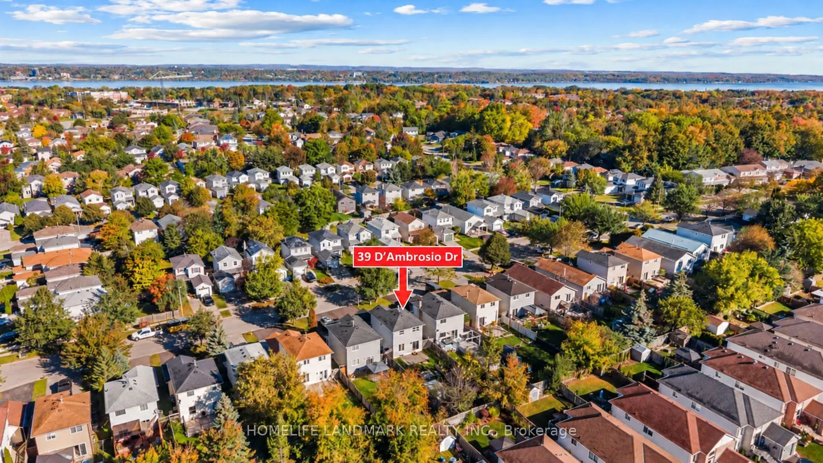 39 D'ambrosio Drive