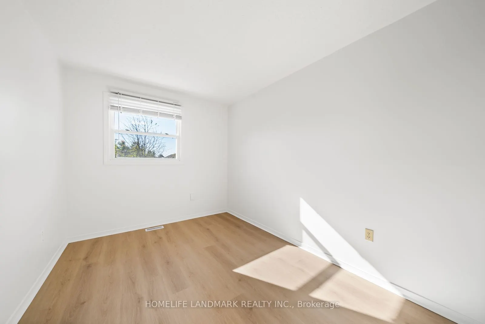 39 D'ambrosio Drive