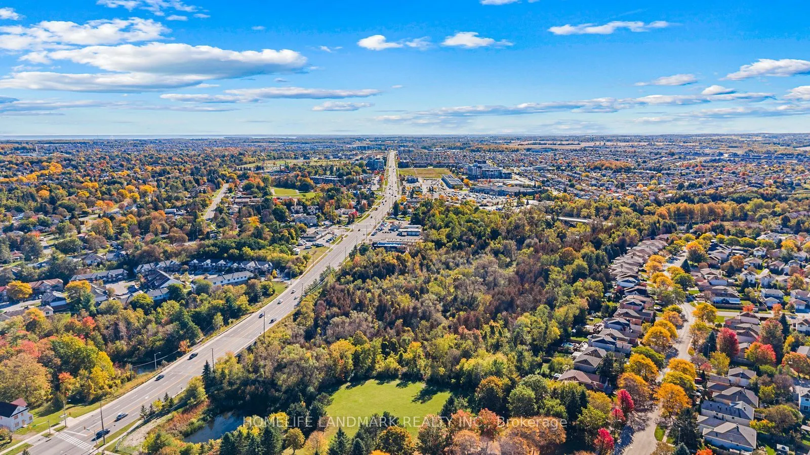 39 D'ambrosio Drive