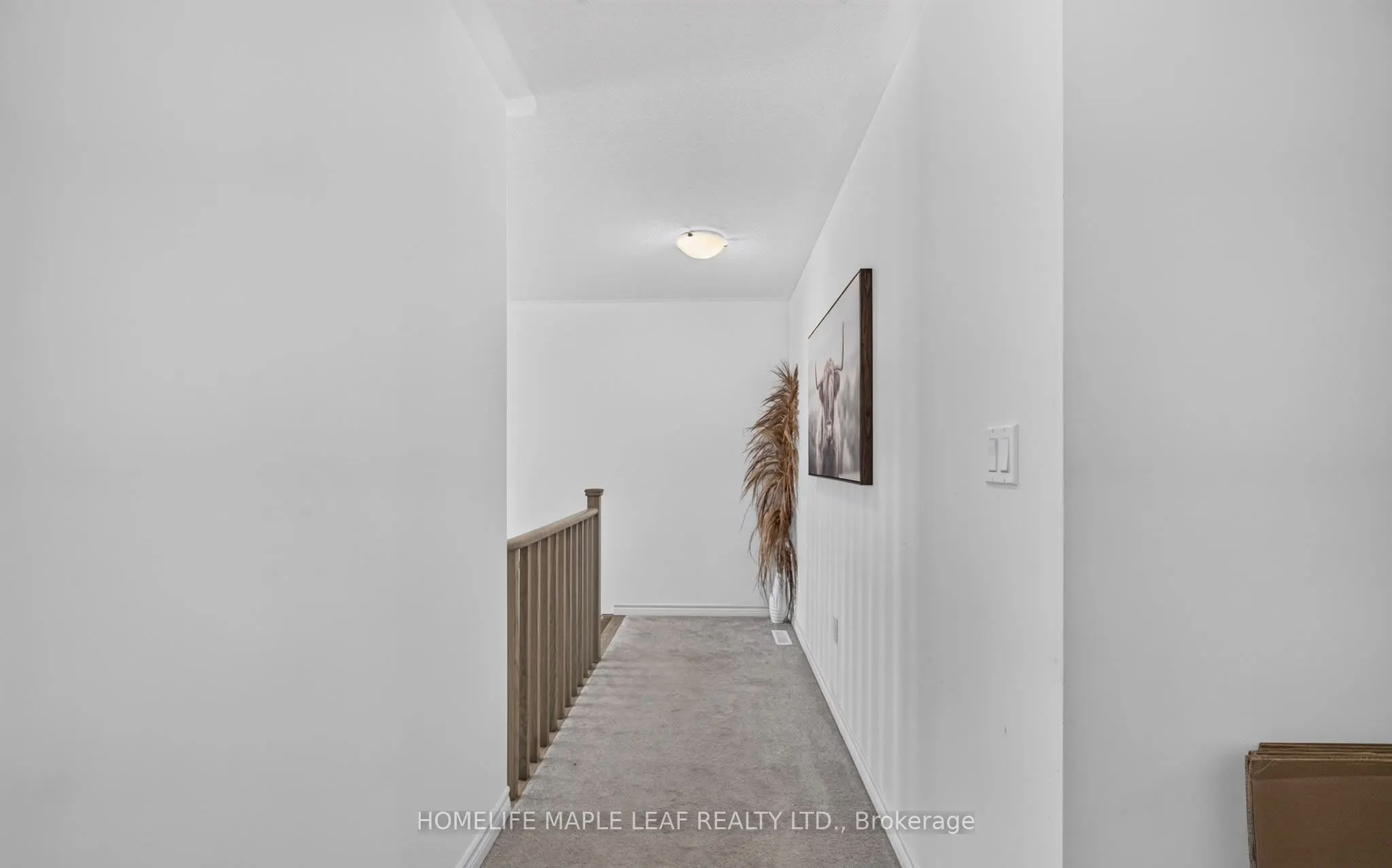 45 Wheatfield Road