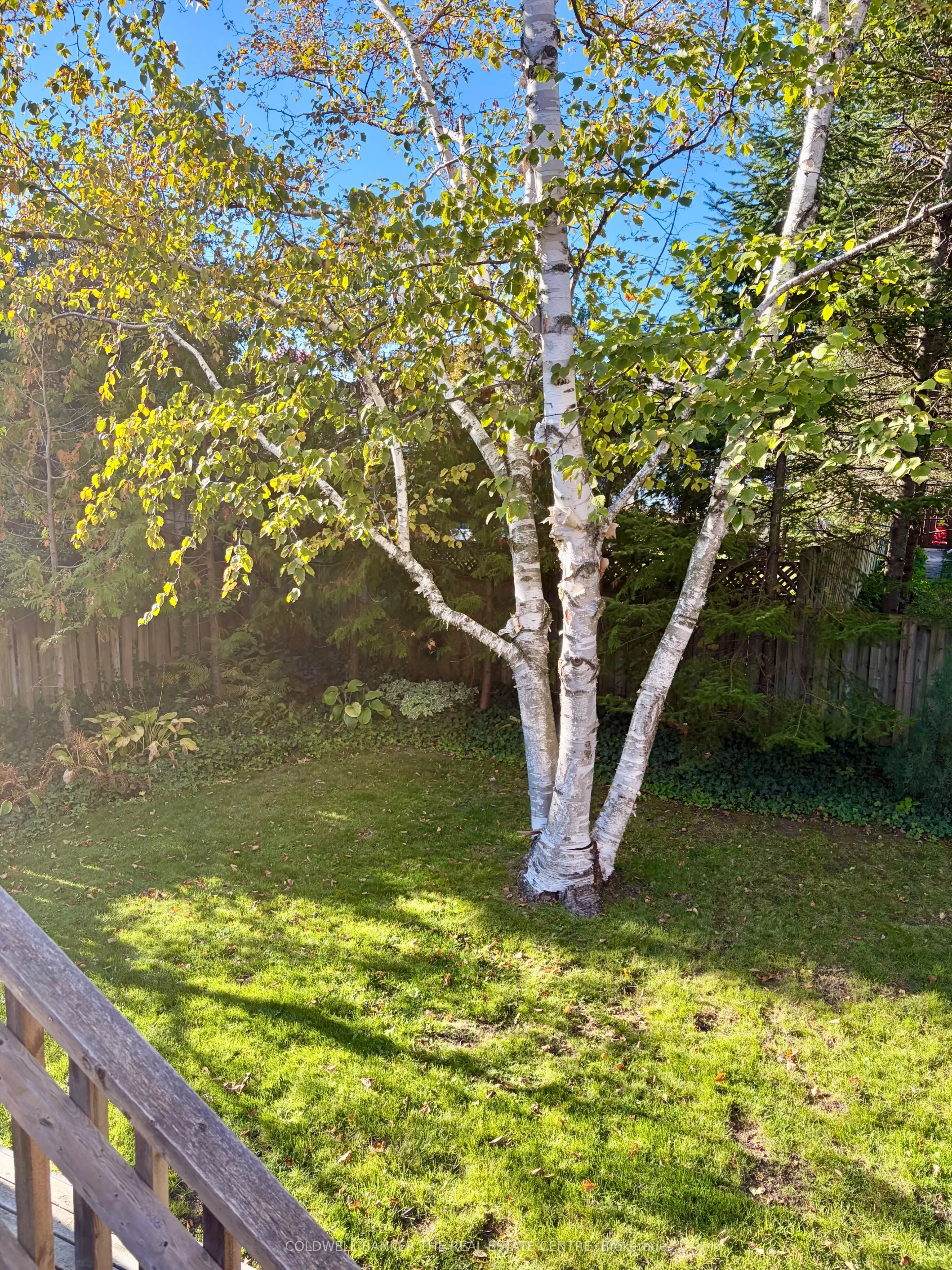 59 Pepler Place