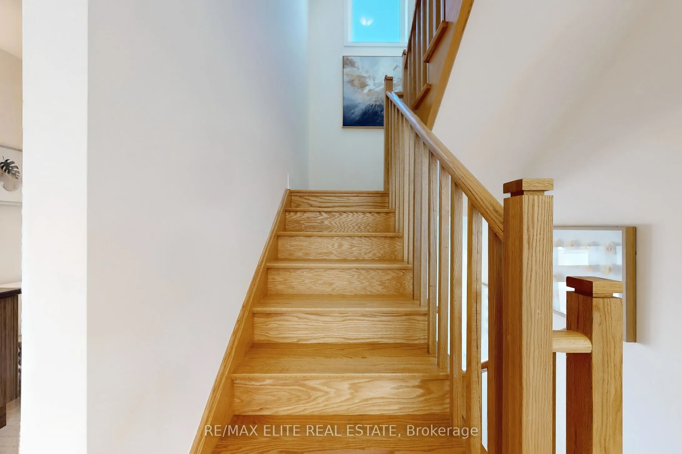 lot 12 Hampton Lane