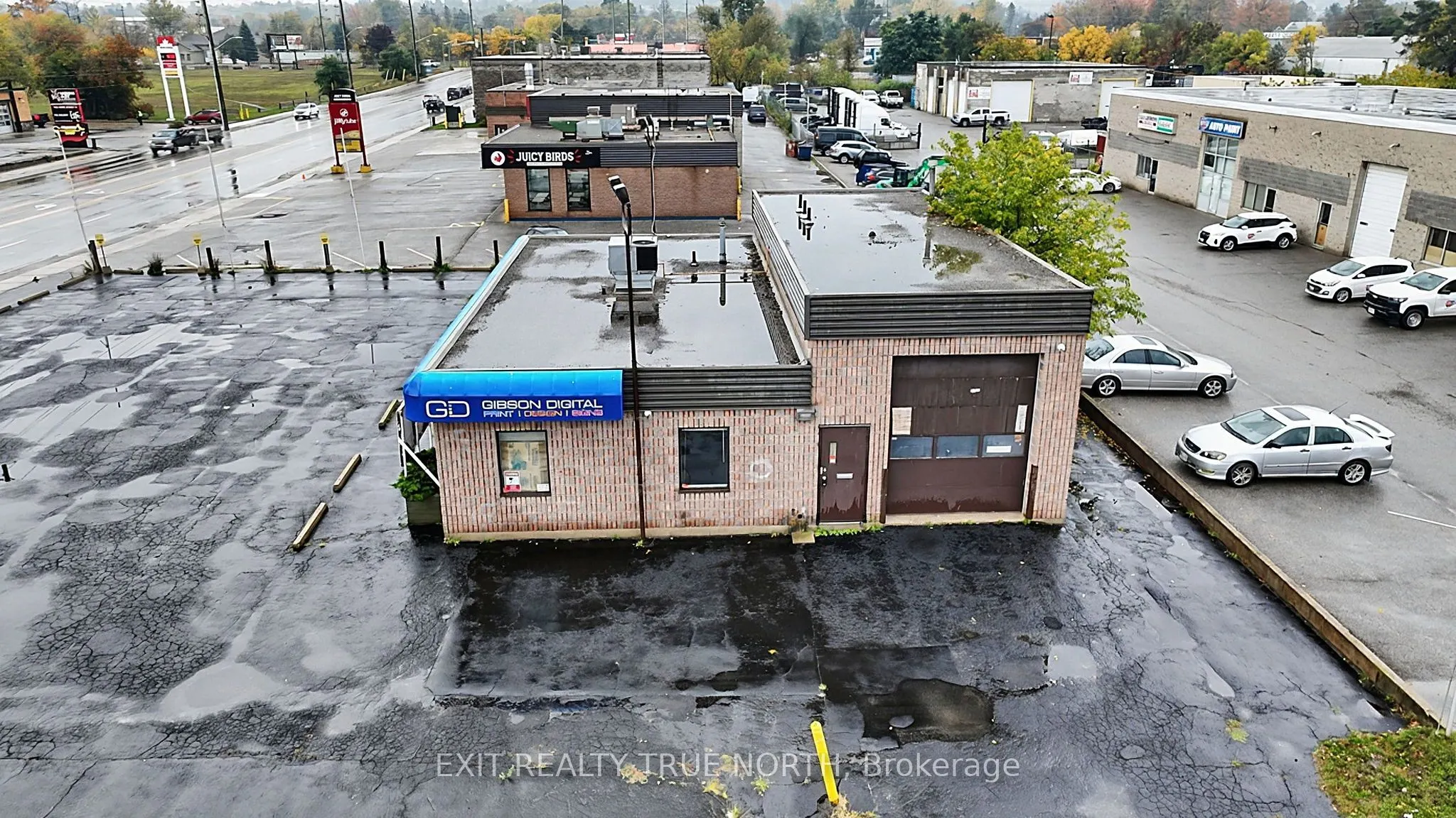 116 Anne Street S