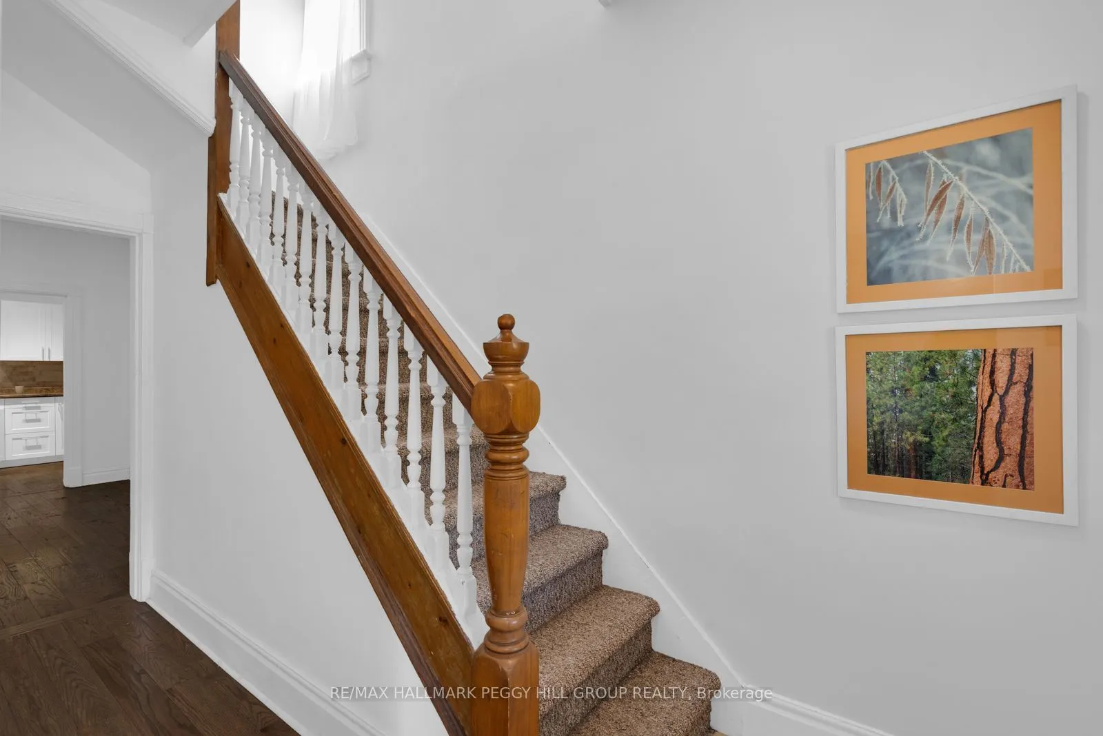 11 Frances Street N