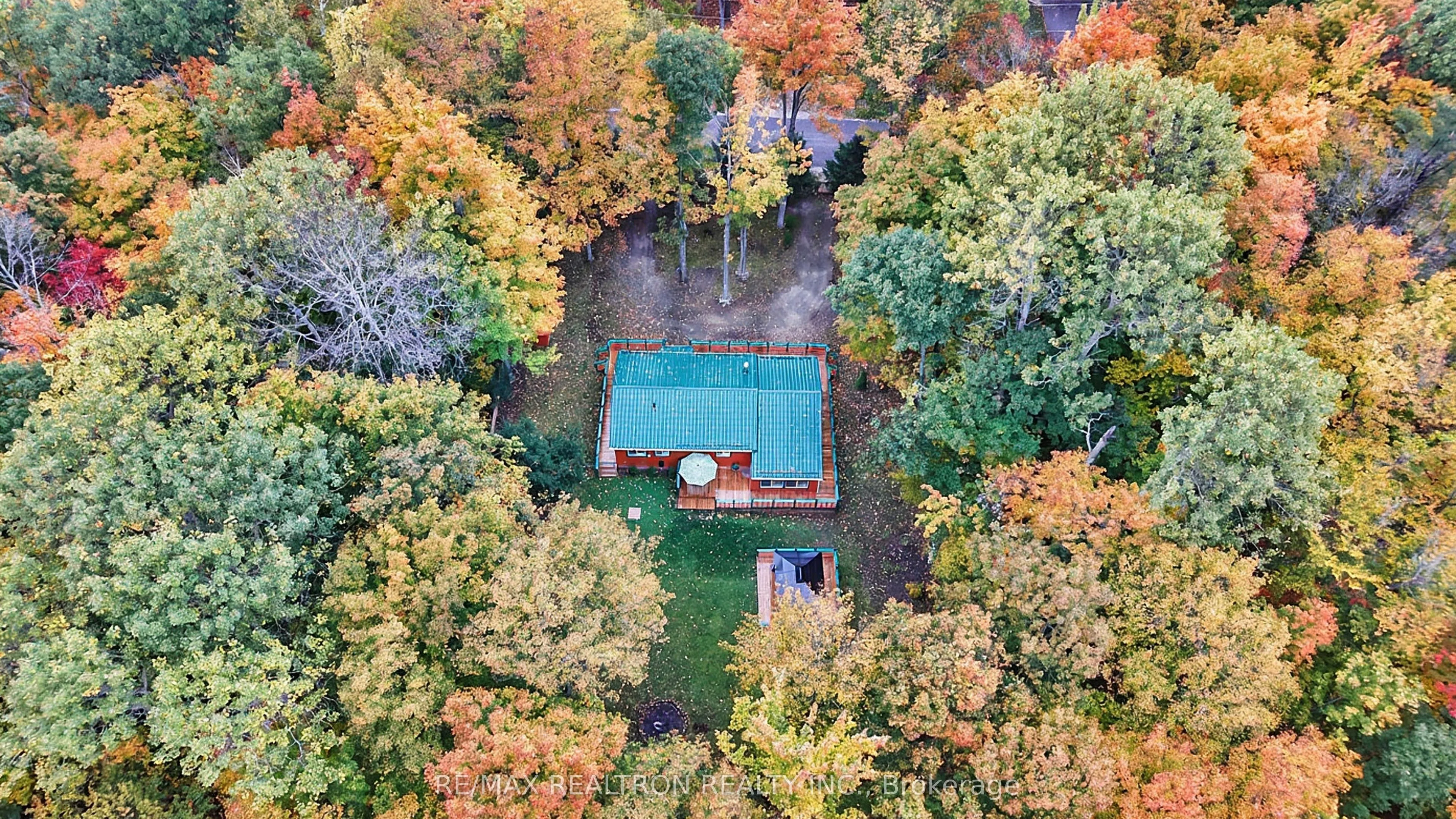 49 WOLFE Trail