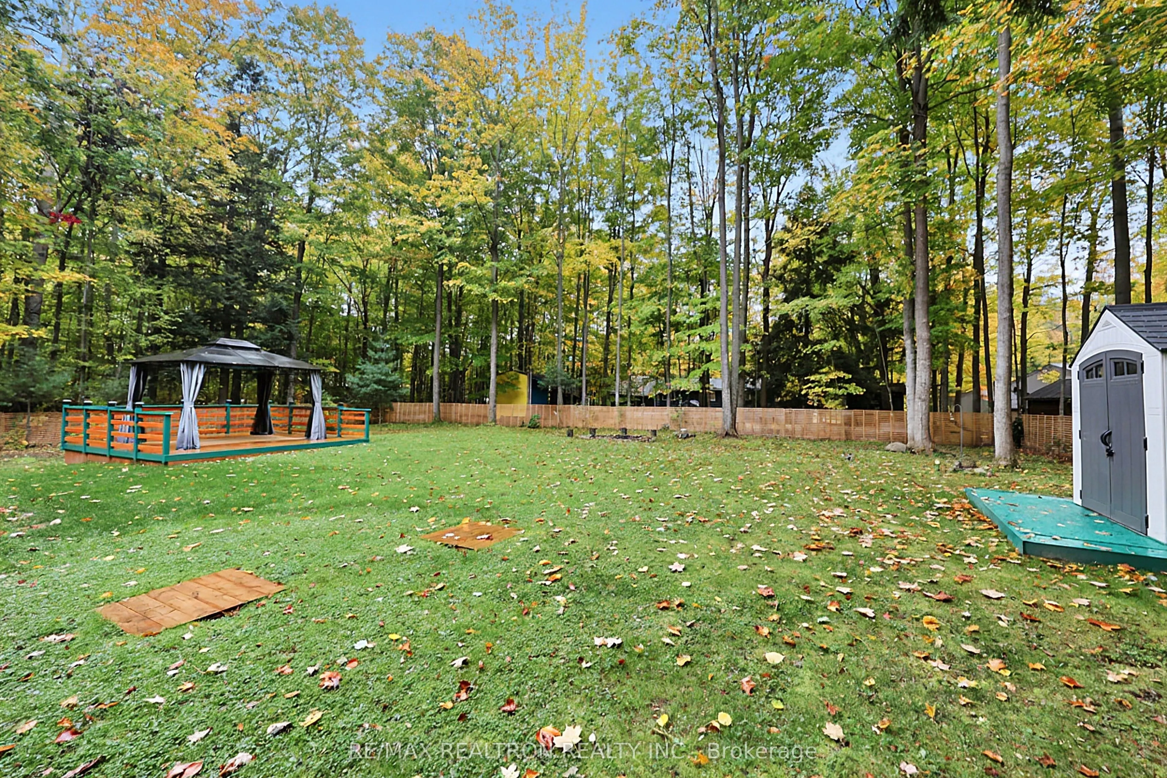 49 WOLFE Trail