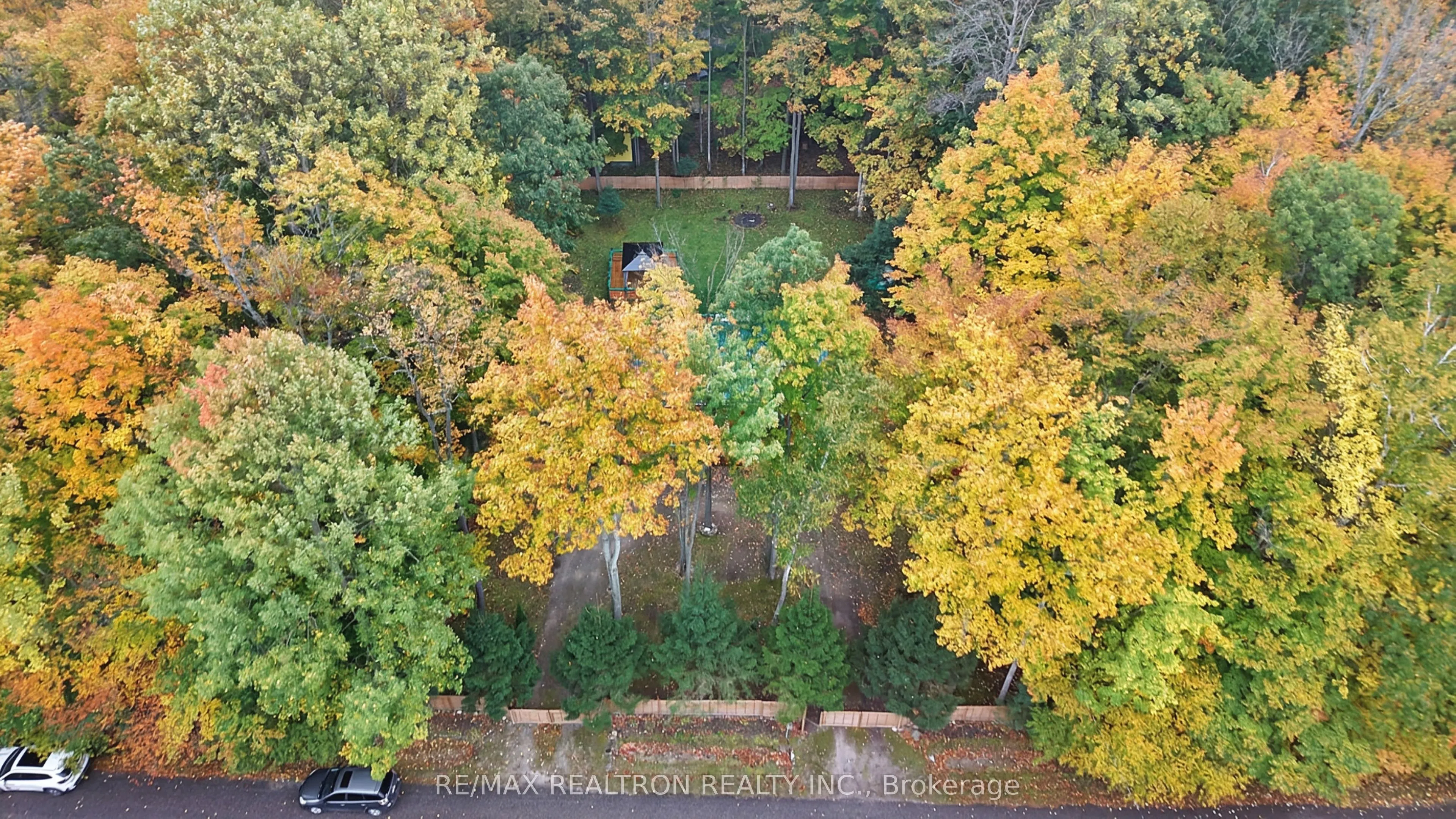 49 WOLFE Trail