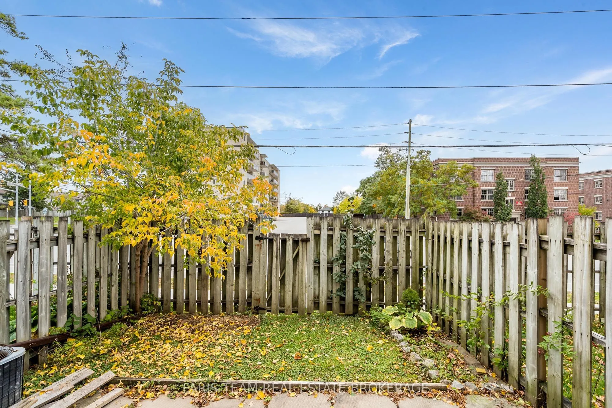 261 Rose Street #6