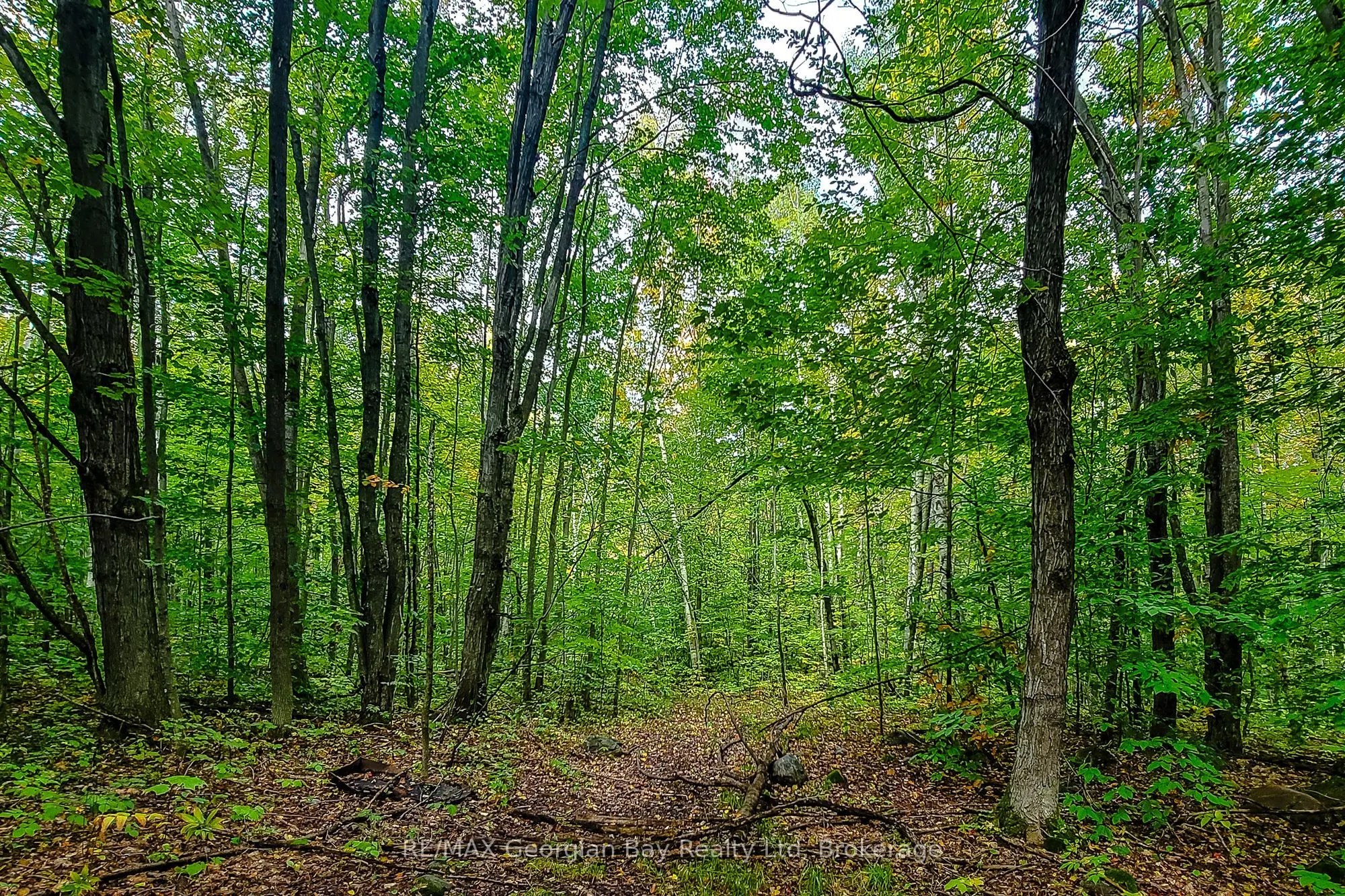 Lot 18 Conc 19 Road W