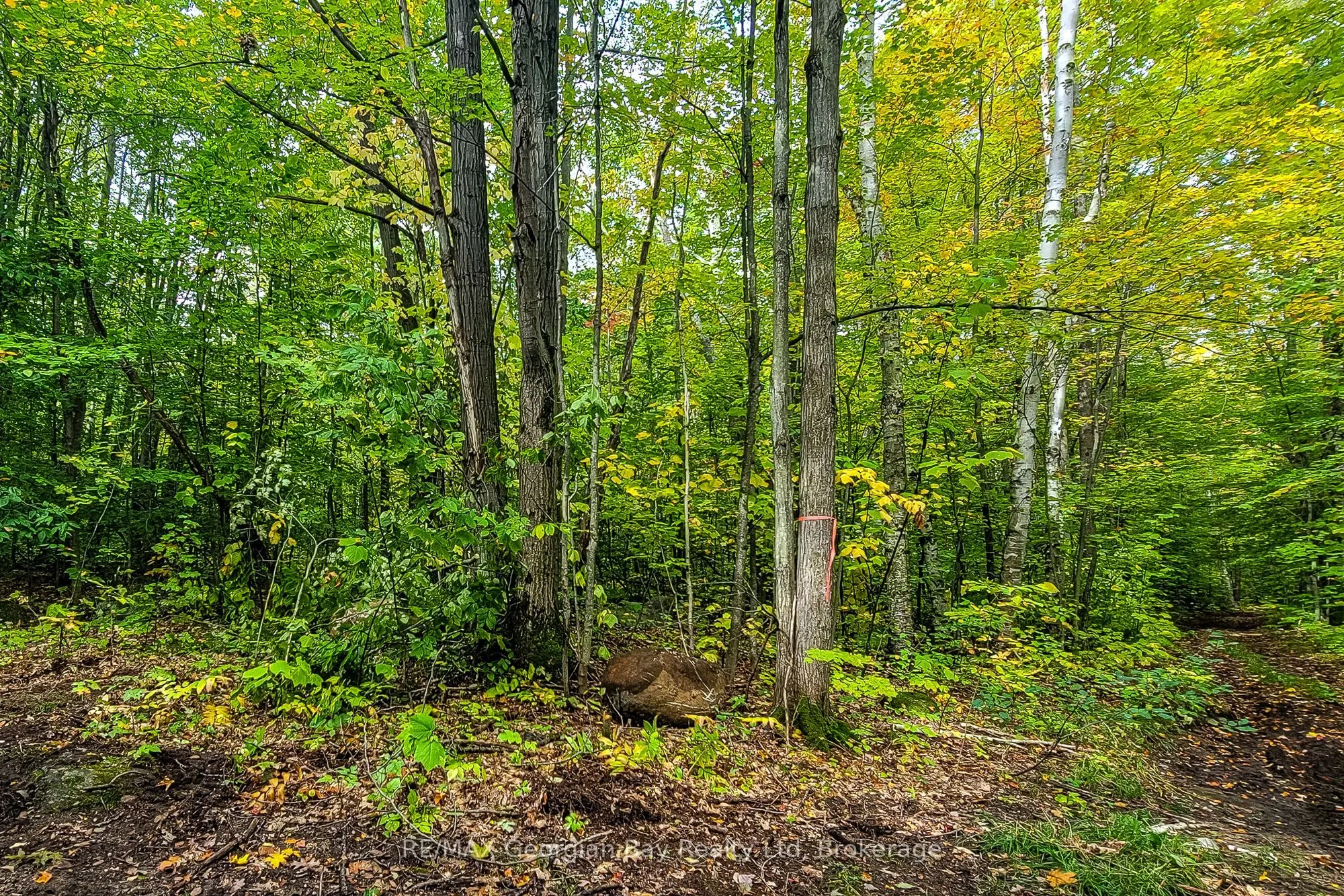 Lot 18 Conc 19 Road W