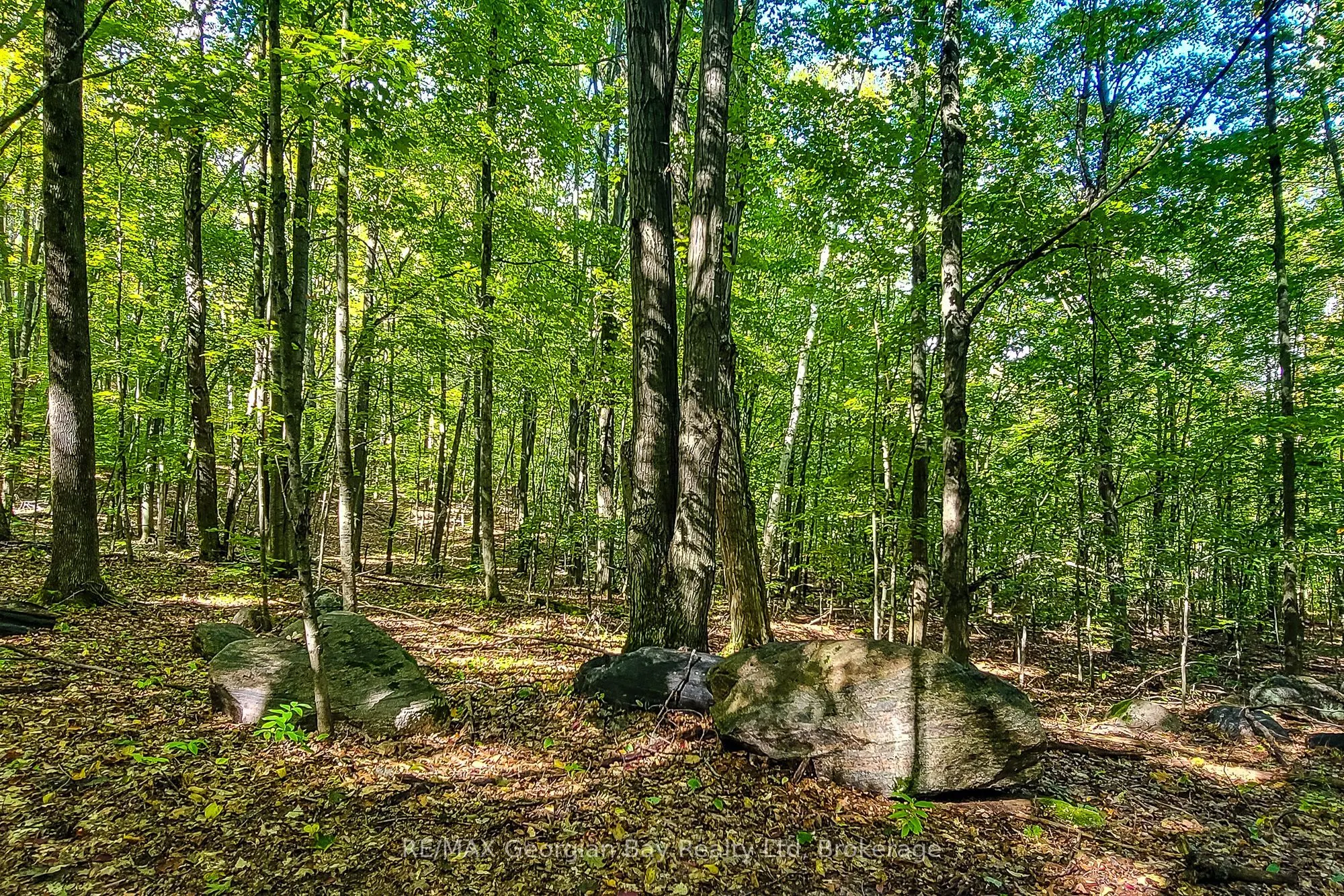 Lot 18 Conc 19 Road W