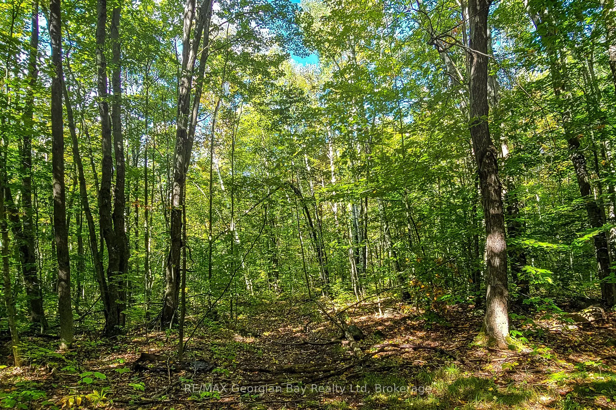 Lot 18 Conc 19 Road W