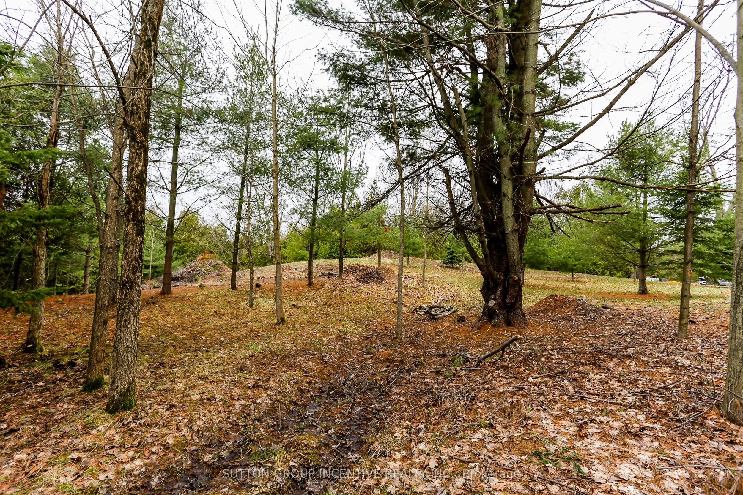 2790 Old Second Road S