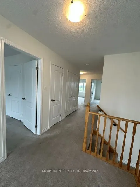 14 Shapira Avenue