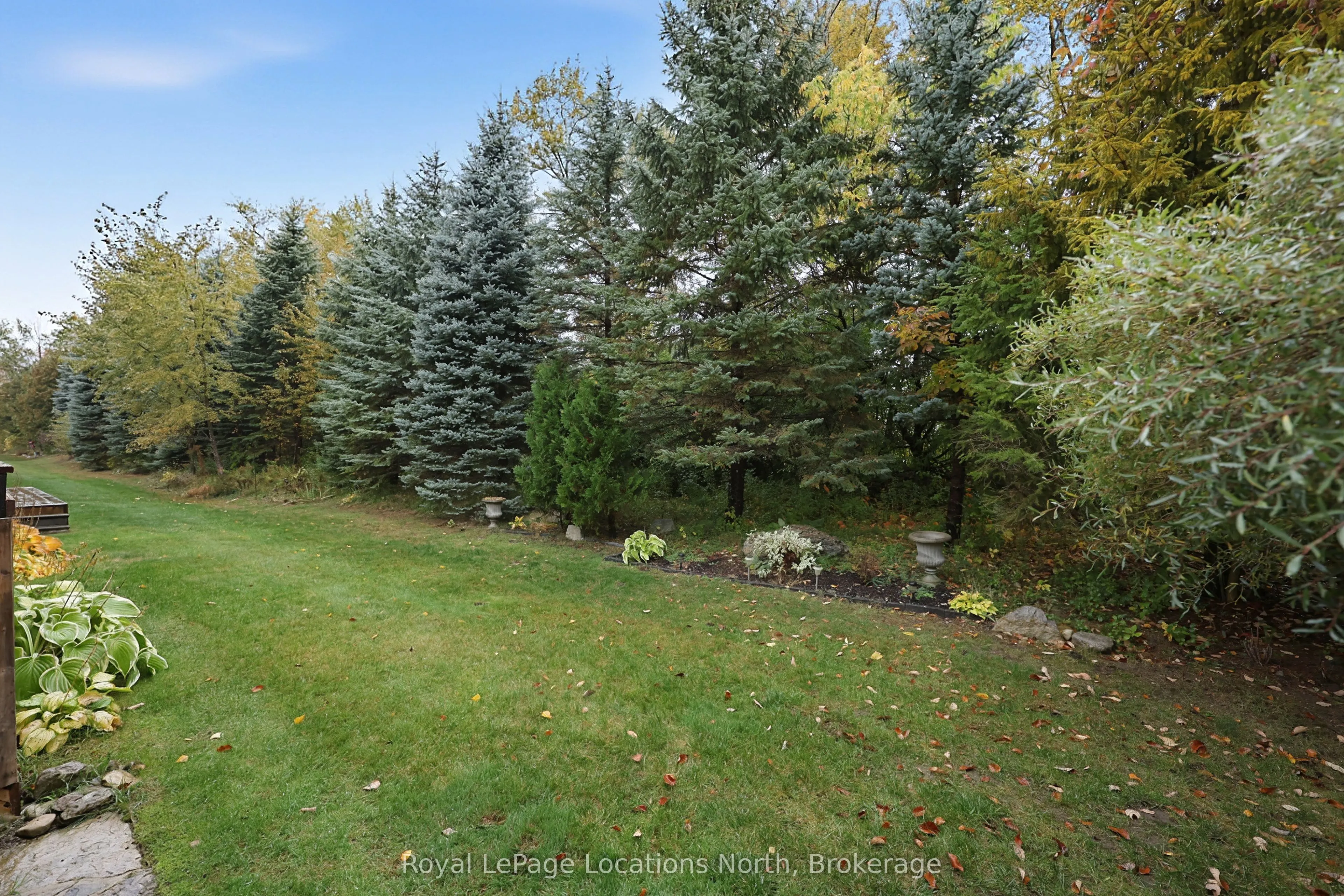 1 Woodland Court #1