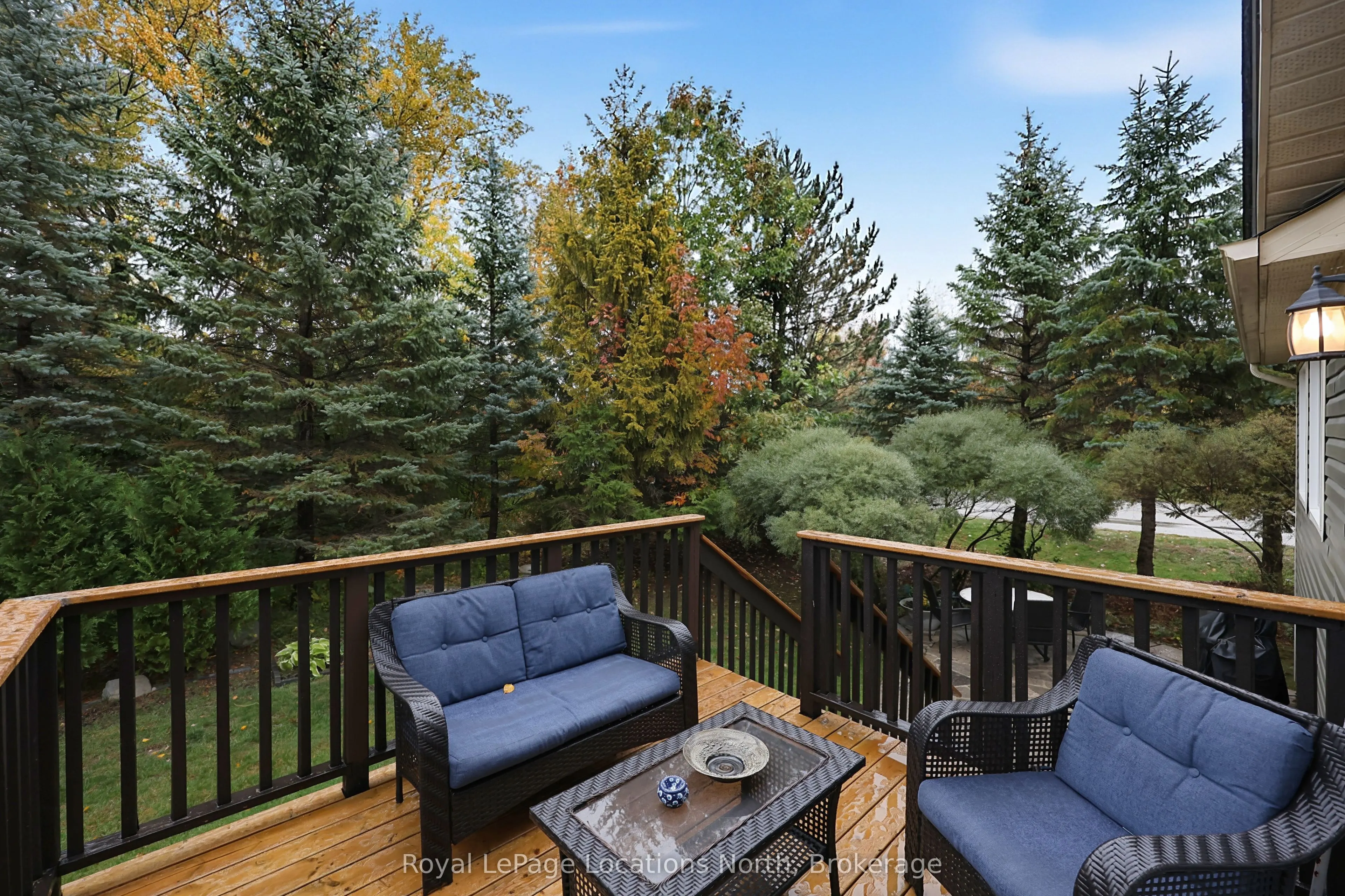 1 Woodland Court #1
