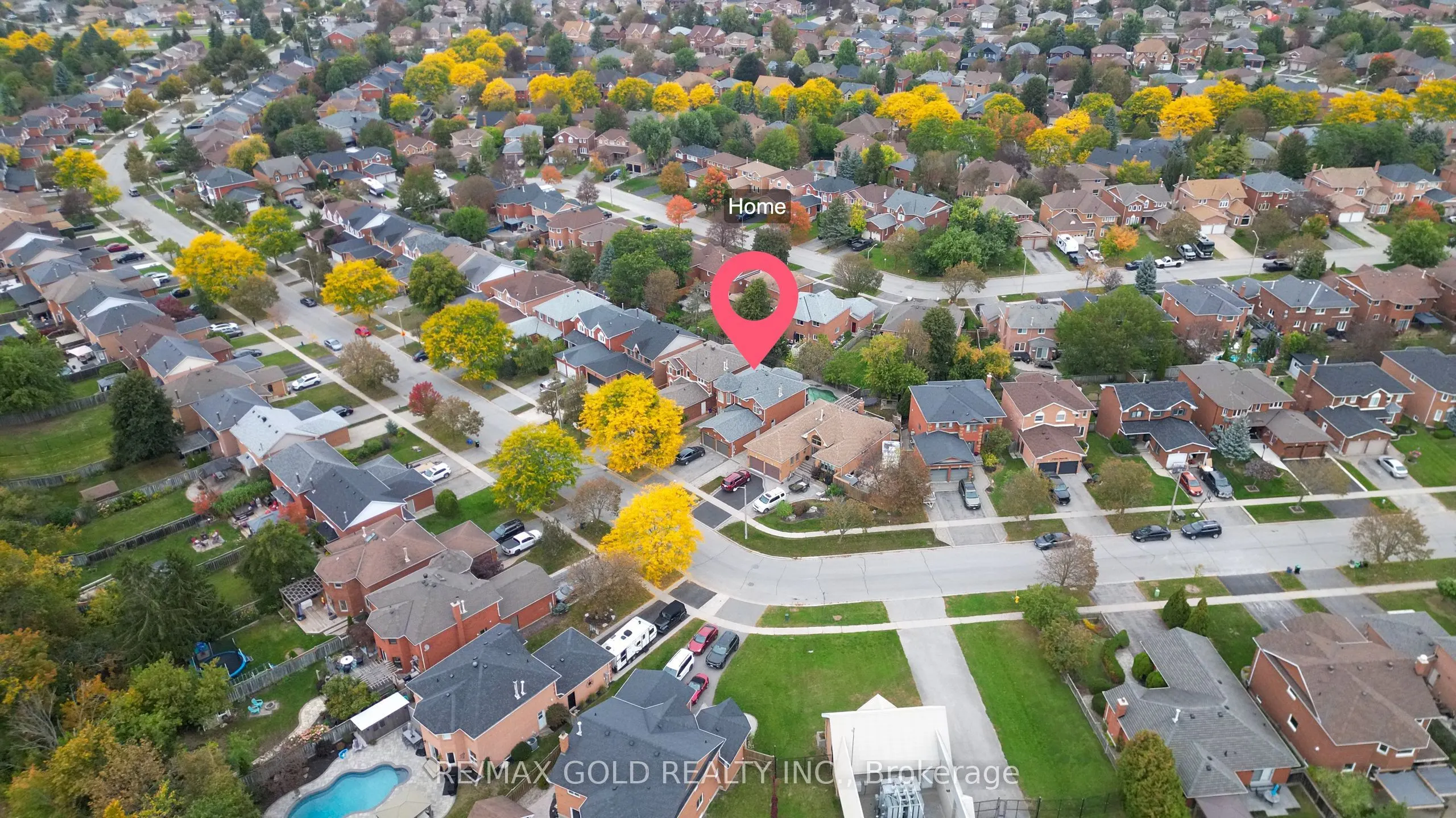 43 Golden Meadow Road
