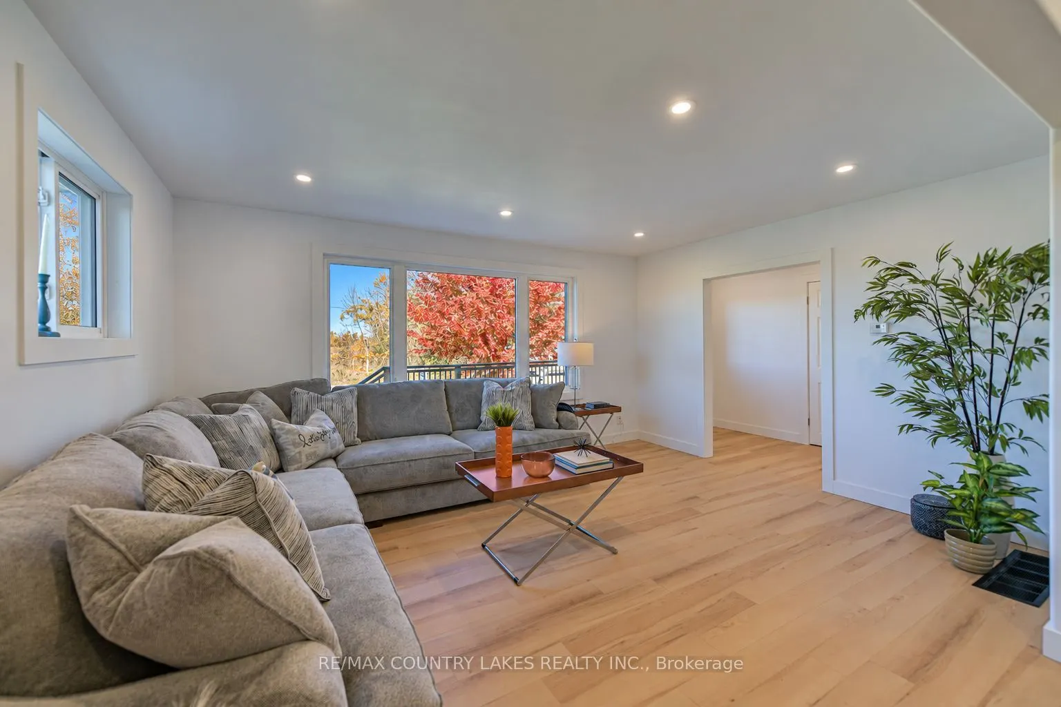 2255 O'Neil Street