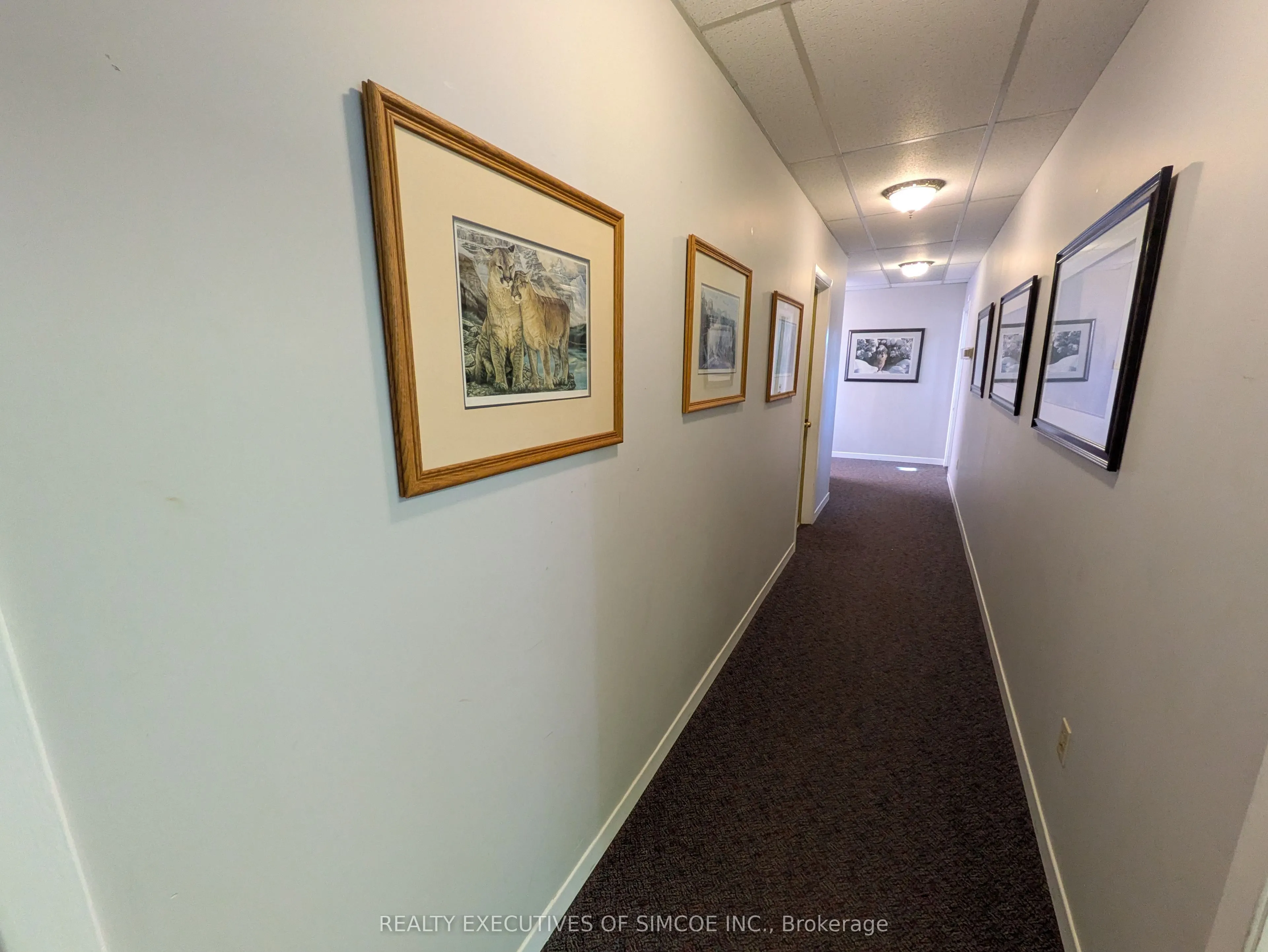28 Owen Street #202