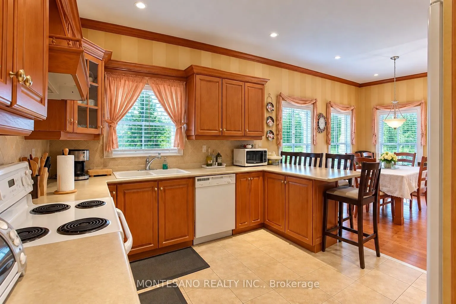 1133 Siesta Drive