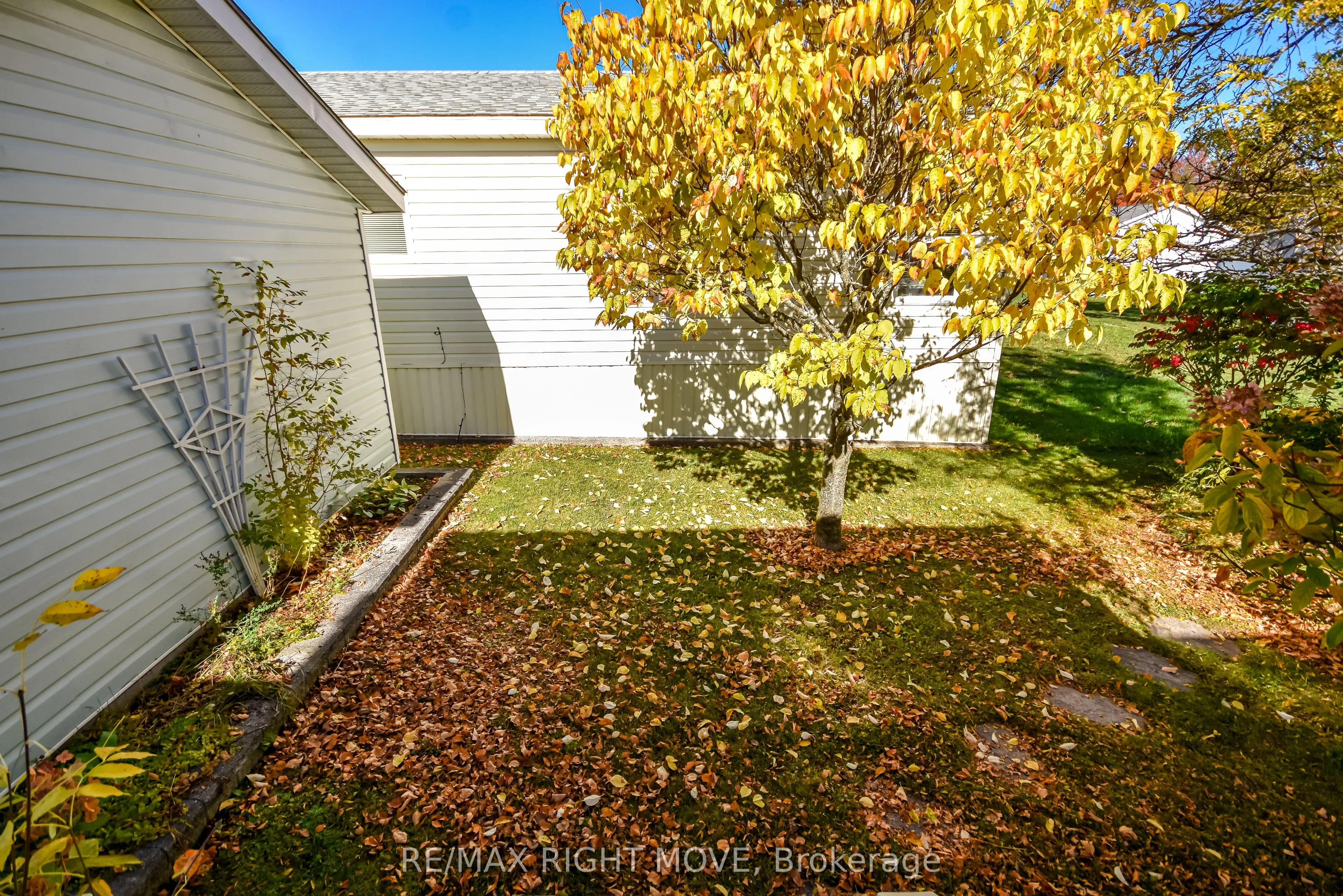 4105 Wesley Street